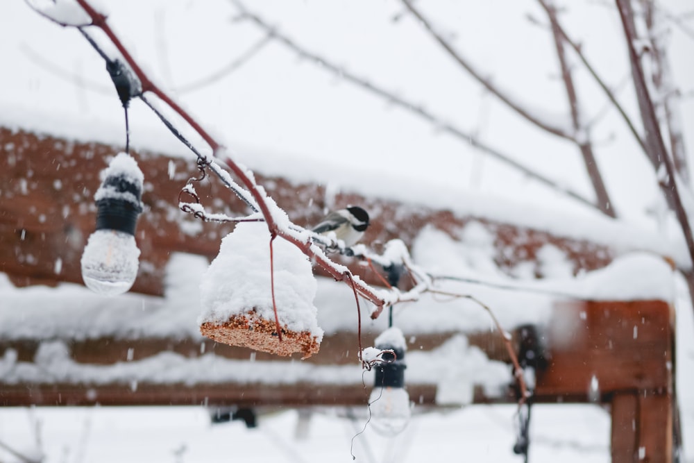 a bird feeder hanging from a tree covered in snow