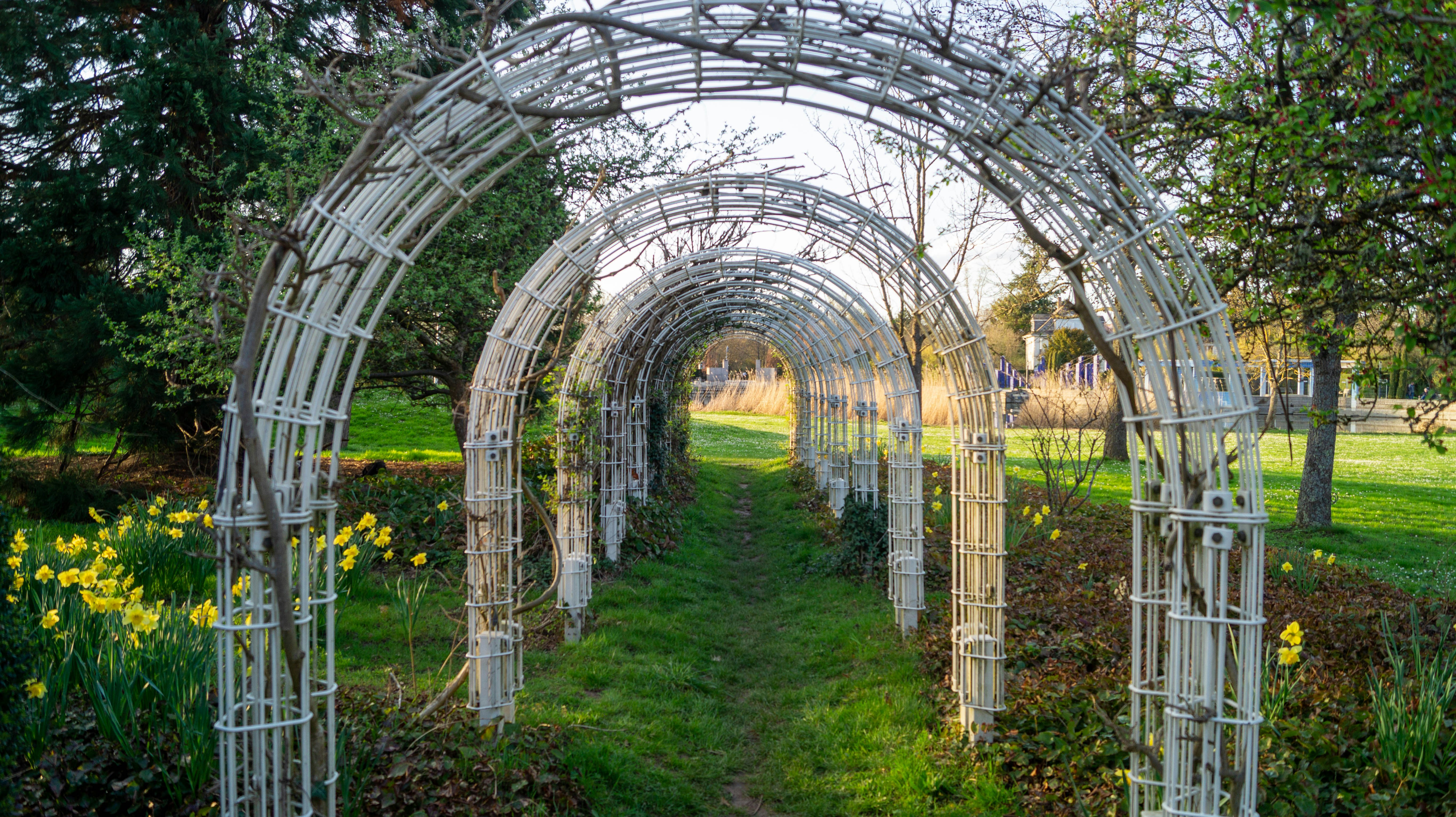 Photo by allexander_h