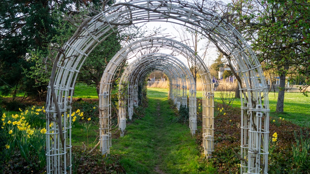 a garden filled with lots of trees and plants