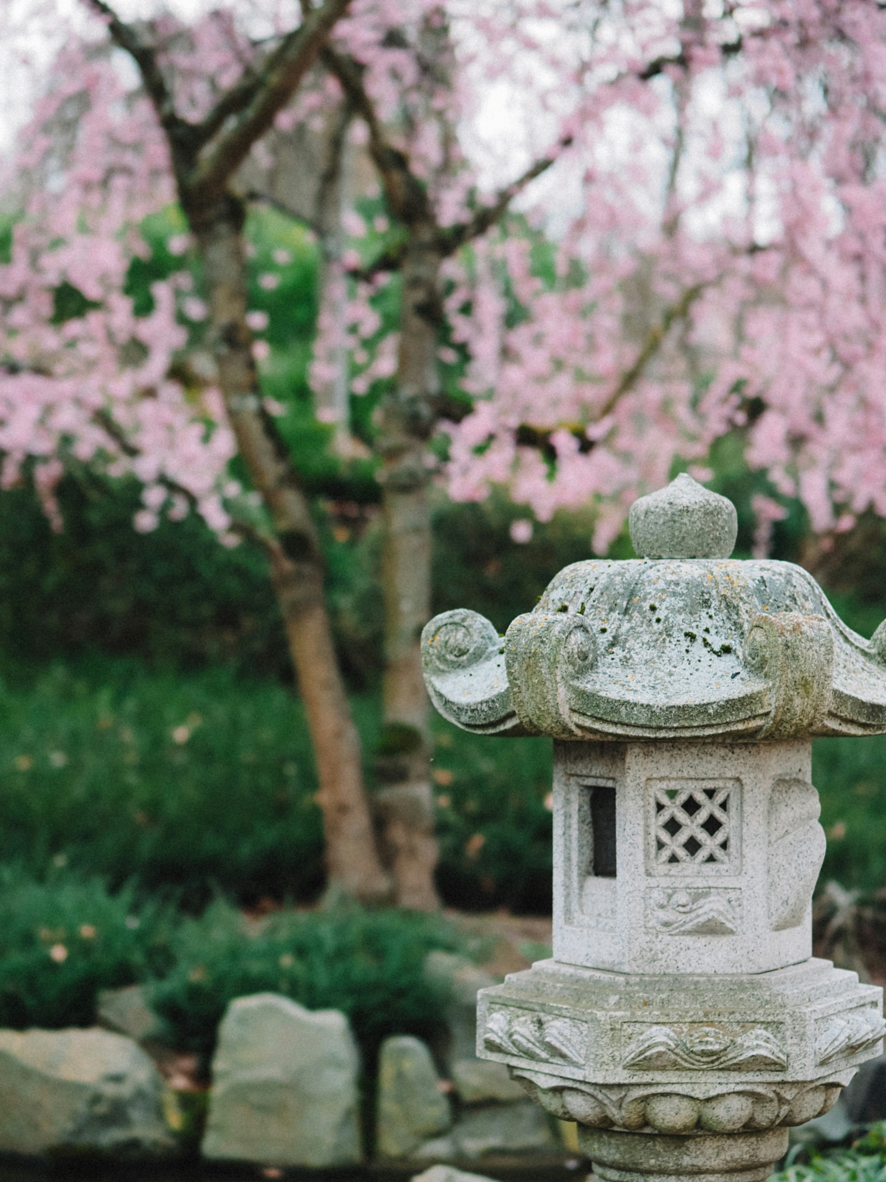 Photo by zahorulko__alina