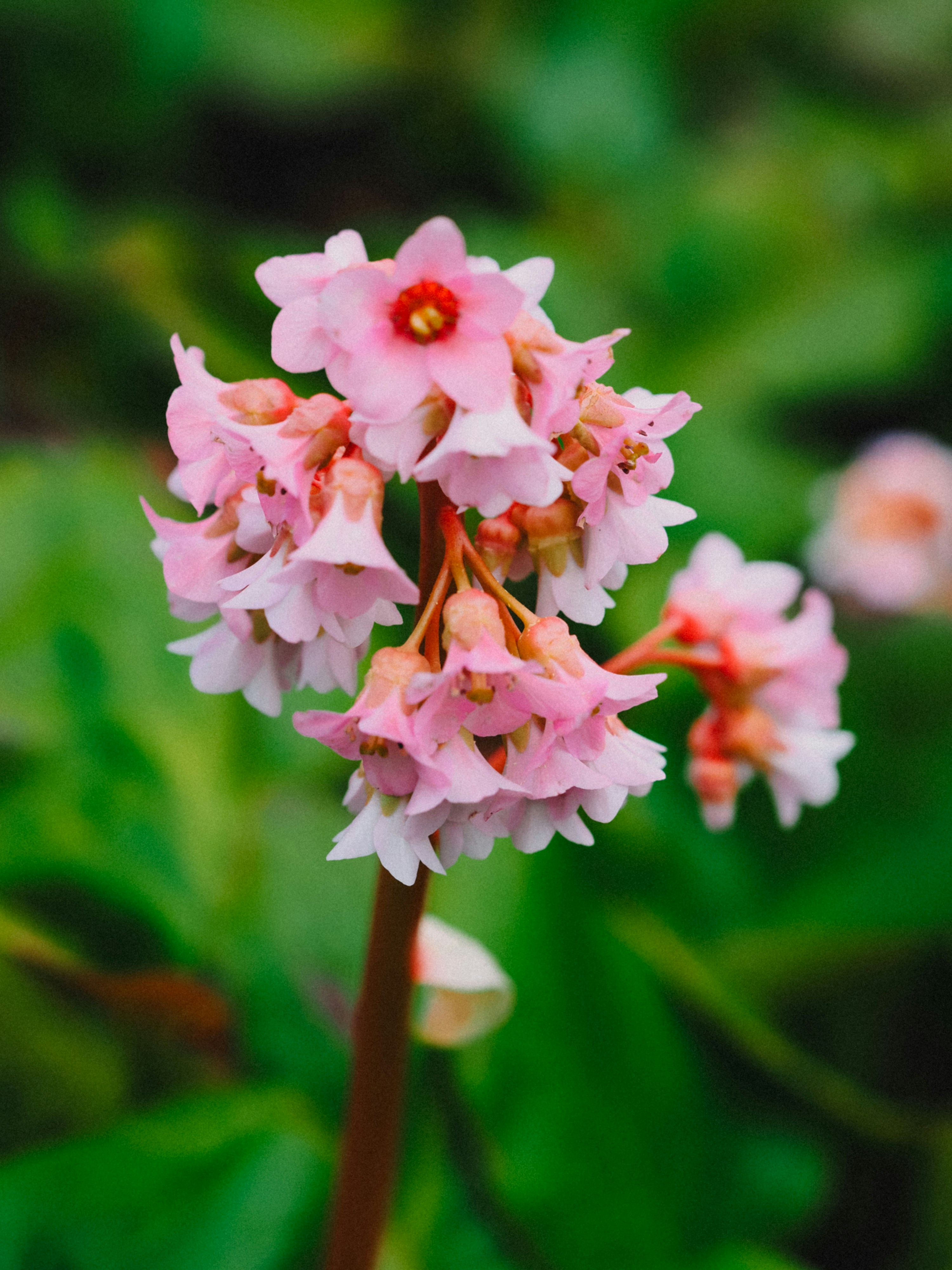 Photo by zahorulko__alina