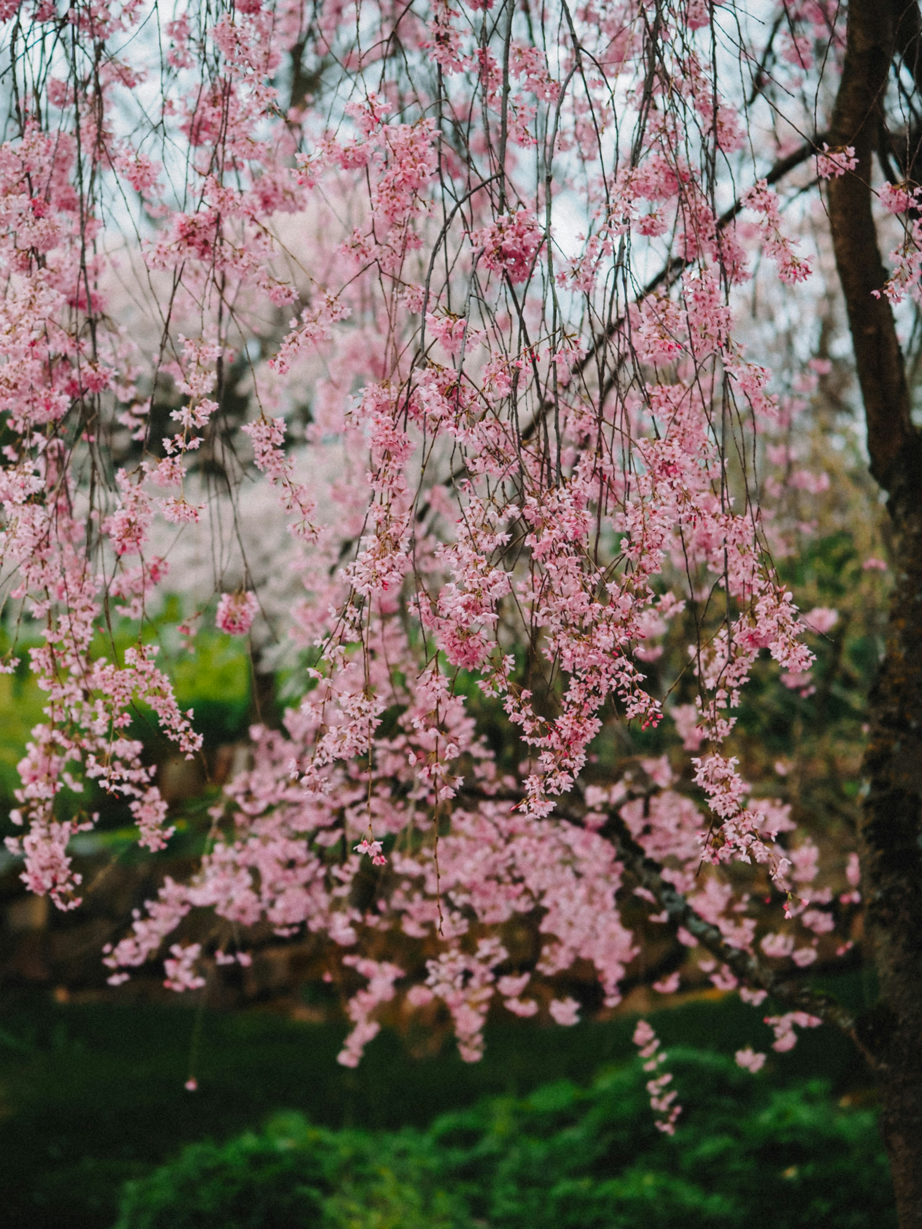 Photo by zahorulko__alina