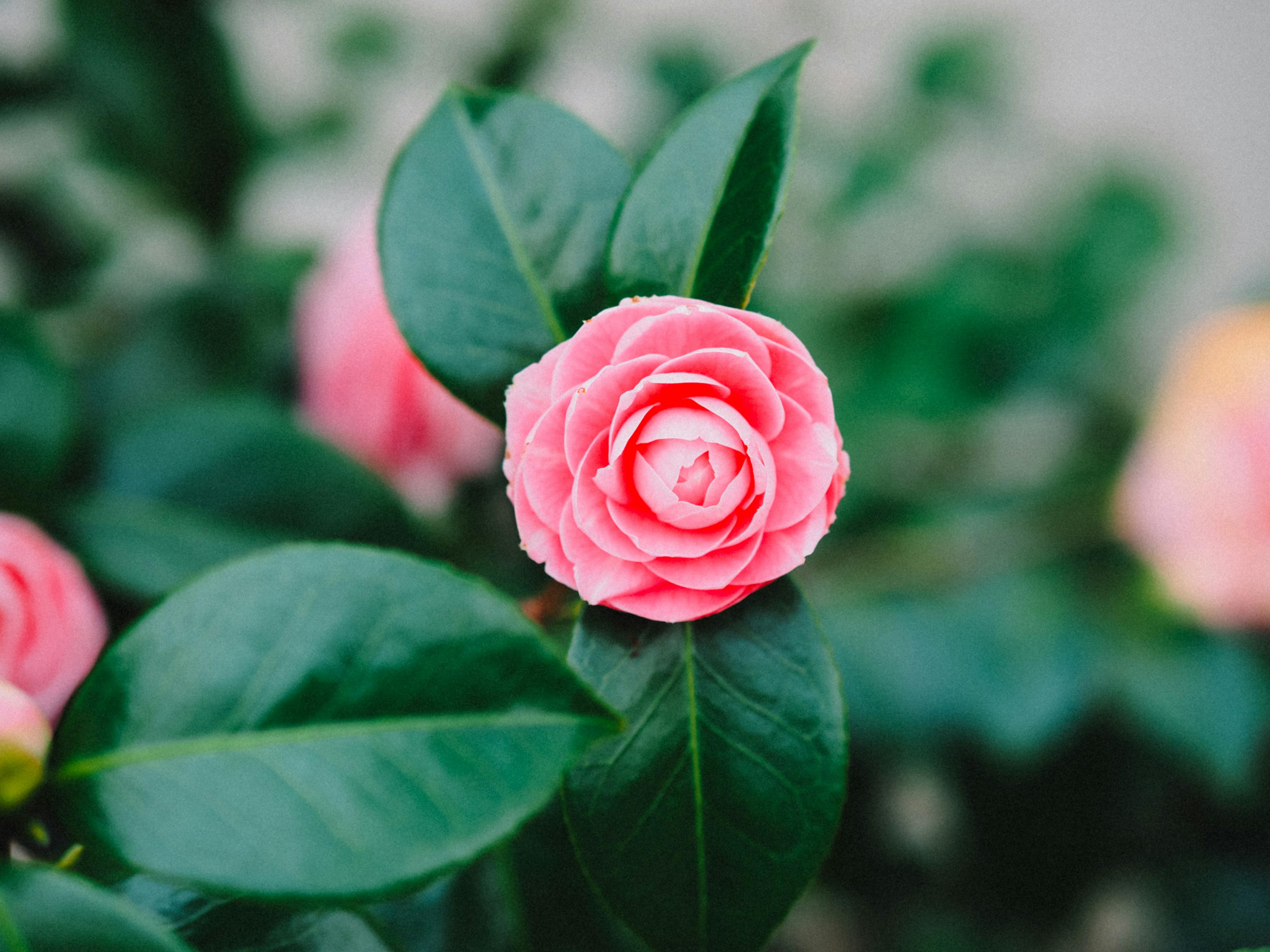 Photo by zahorulko__alina