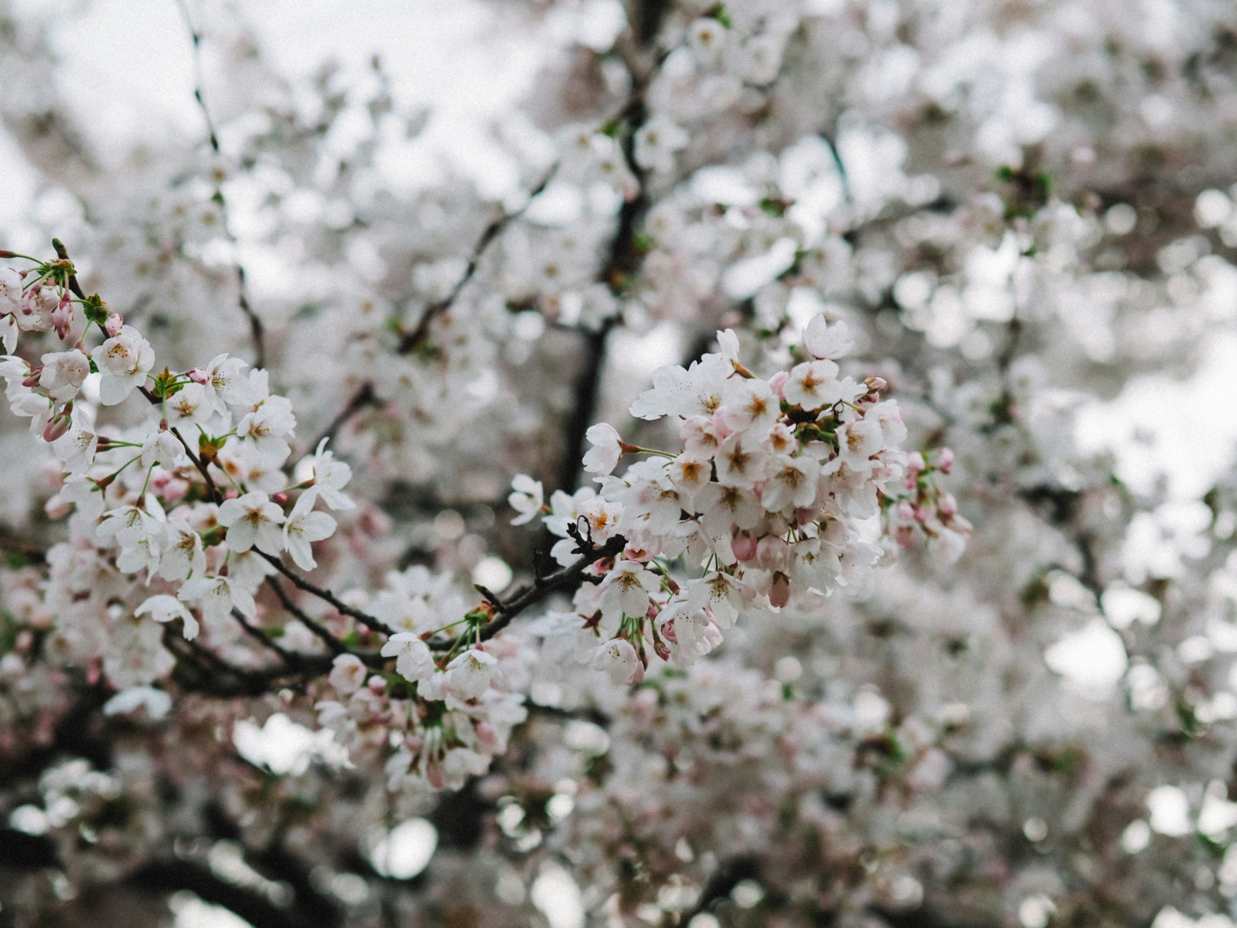 Photo by zahorulko__alina