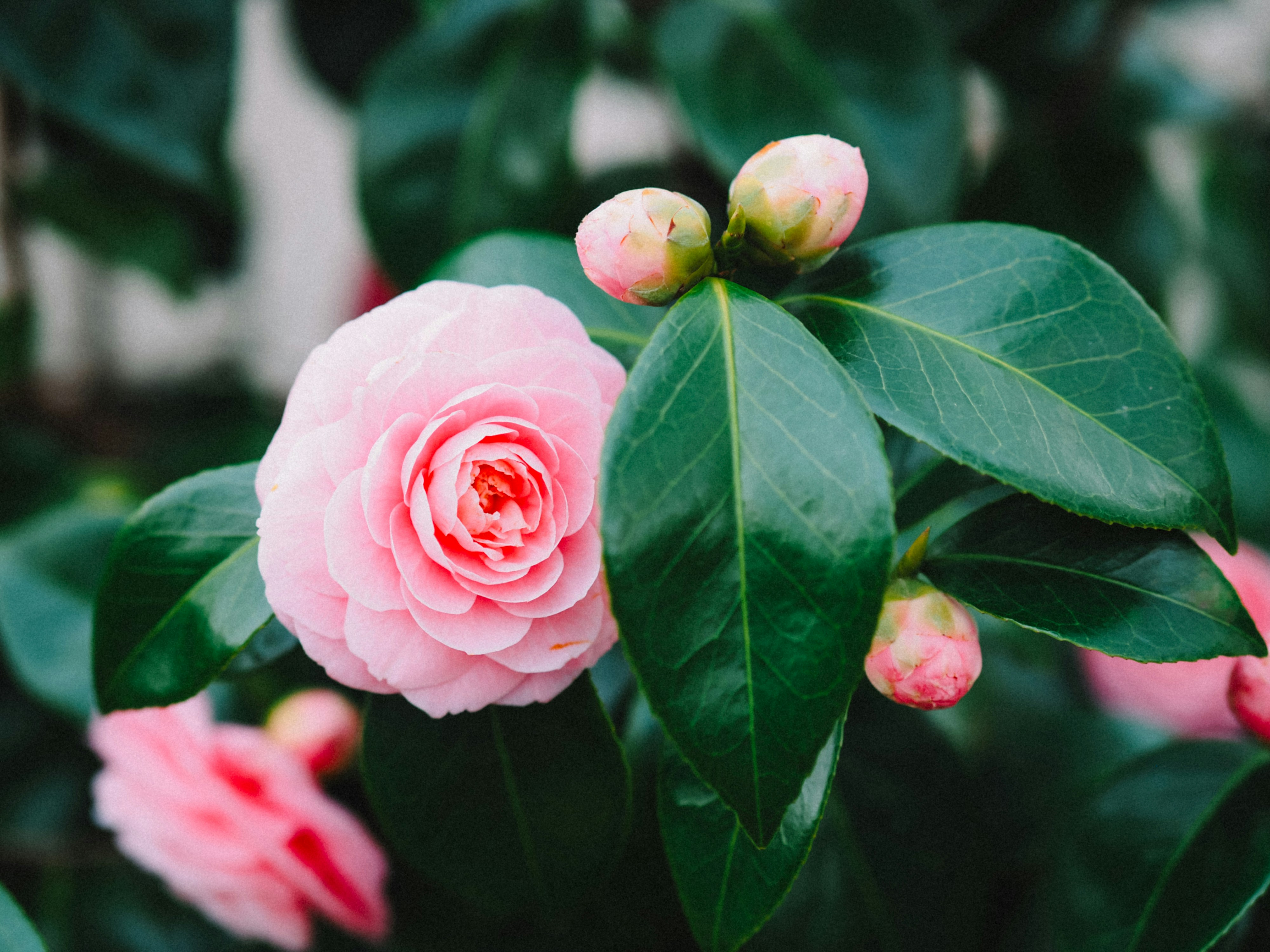 Photo by zahorulko__alina