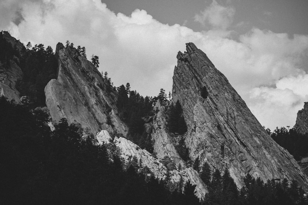 a black and white photo of some rocks and trees