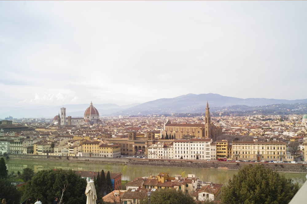 a view of a city with mountains in the background