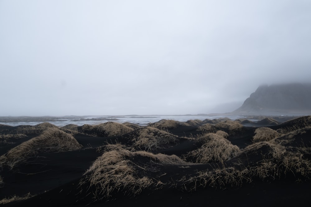 a beach covered in lots of sand next to the ocean