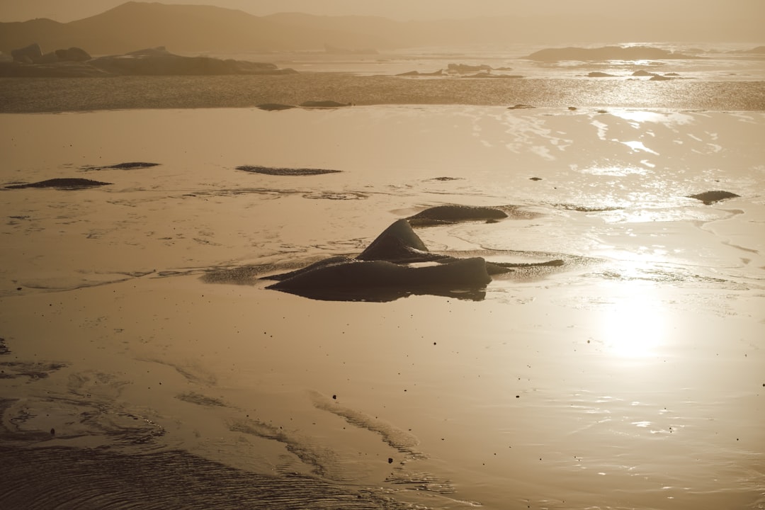 the sun is shining over the water on the beach,
