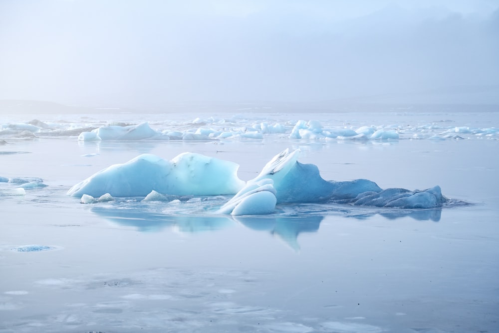 un gruppo di iceberg che galleggiano sopra uno specchio d'acqua
