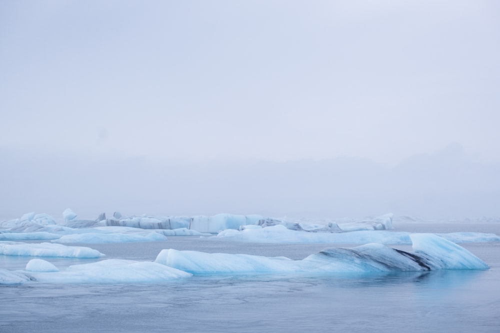 un grand groupe d’icebergs flottant dans l’eau