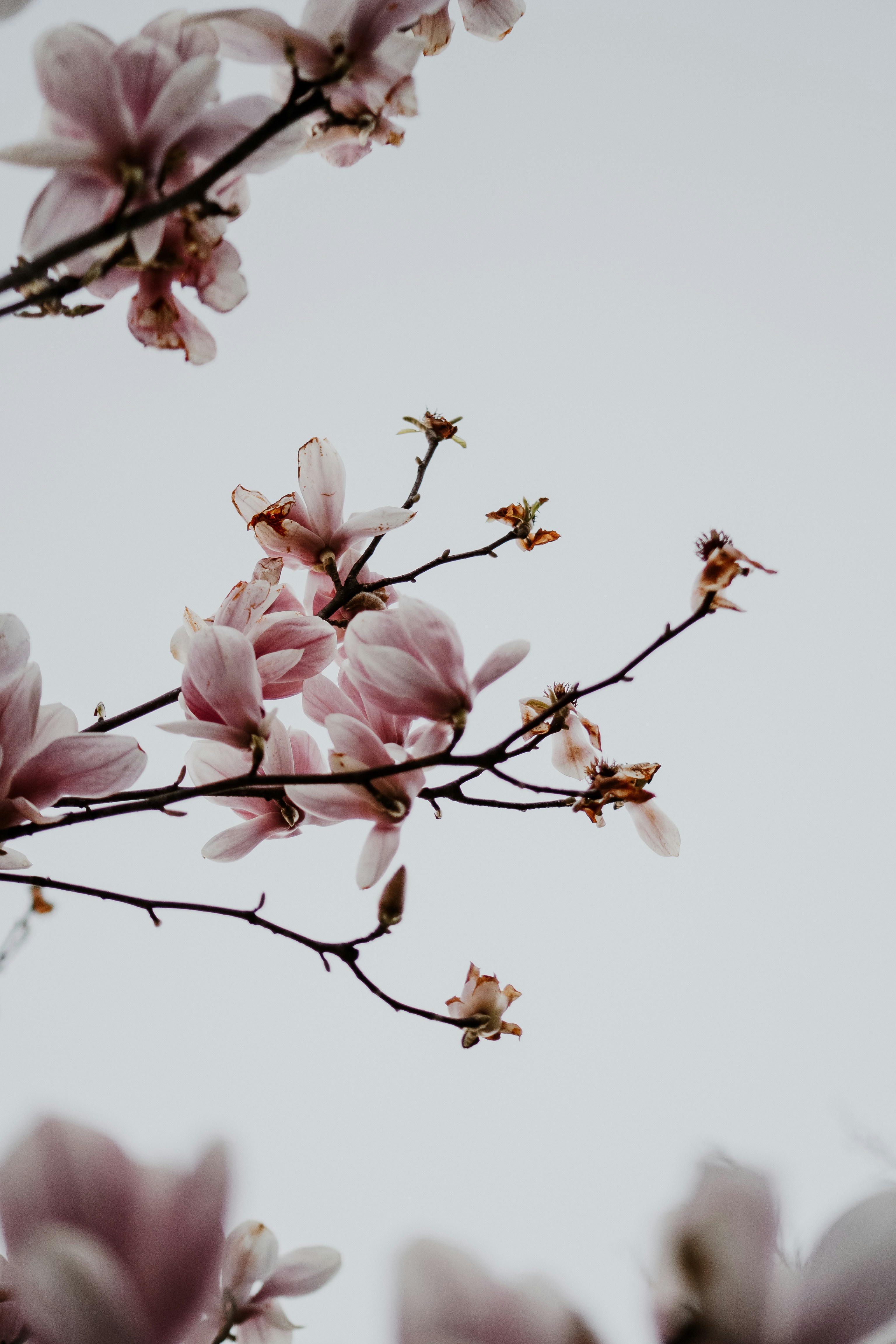 Photo by luisgherasim