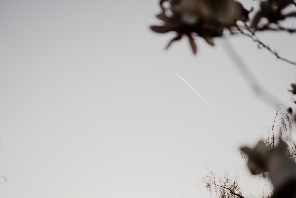 a plane is flying in the sky over some trees