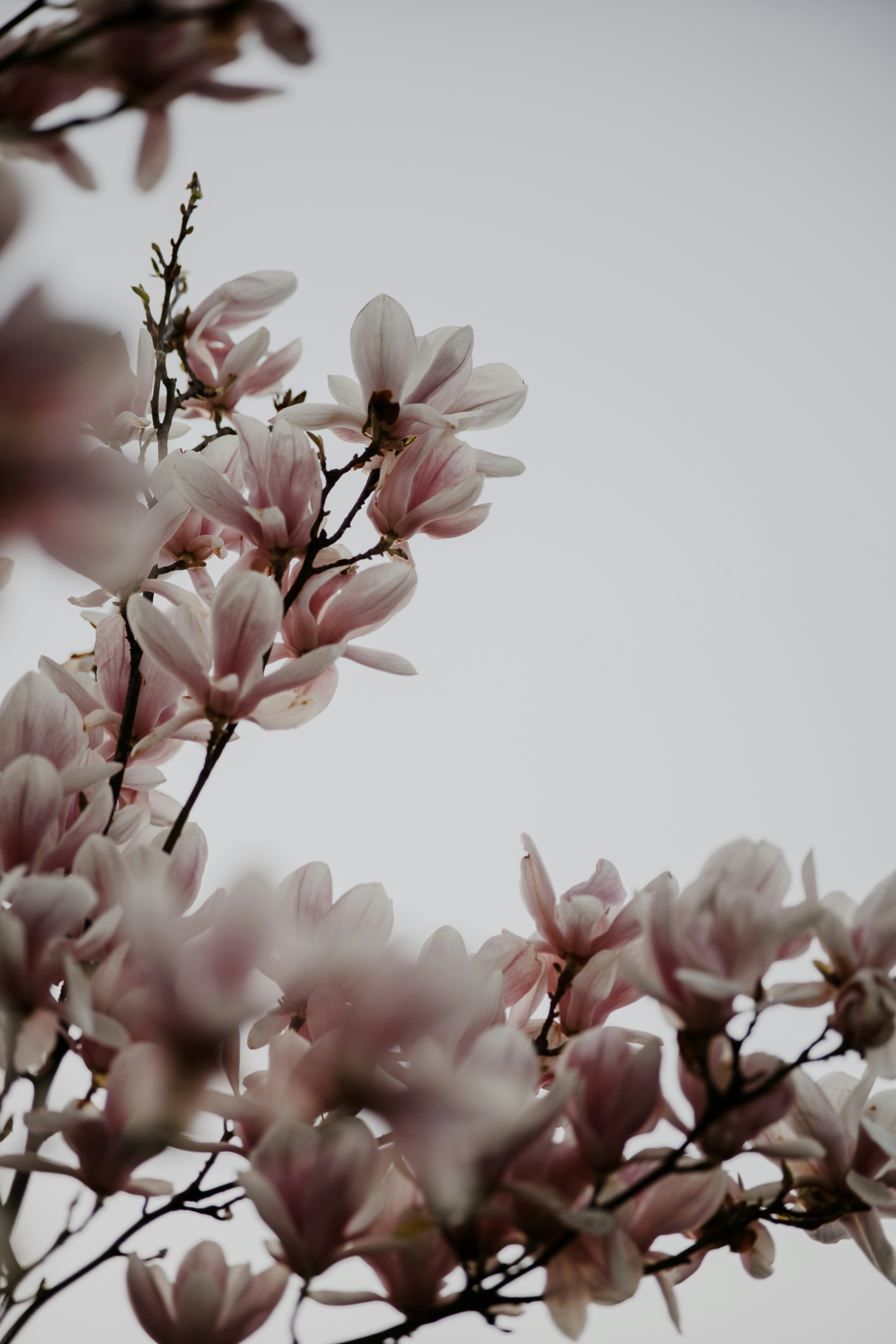 Photo by luisgherasim