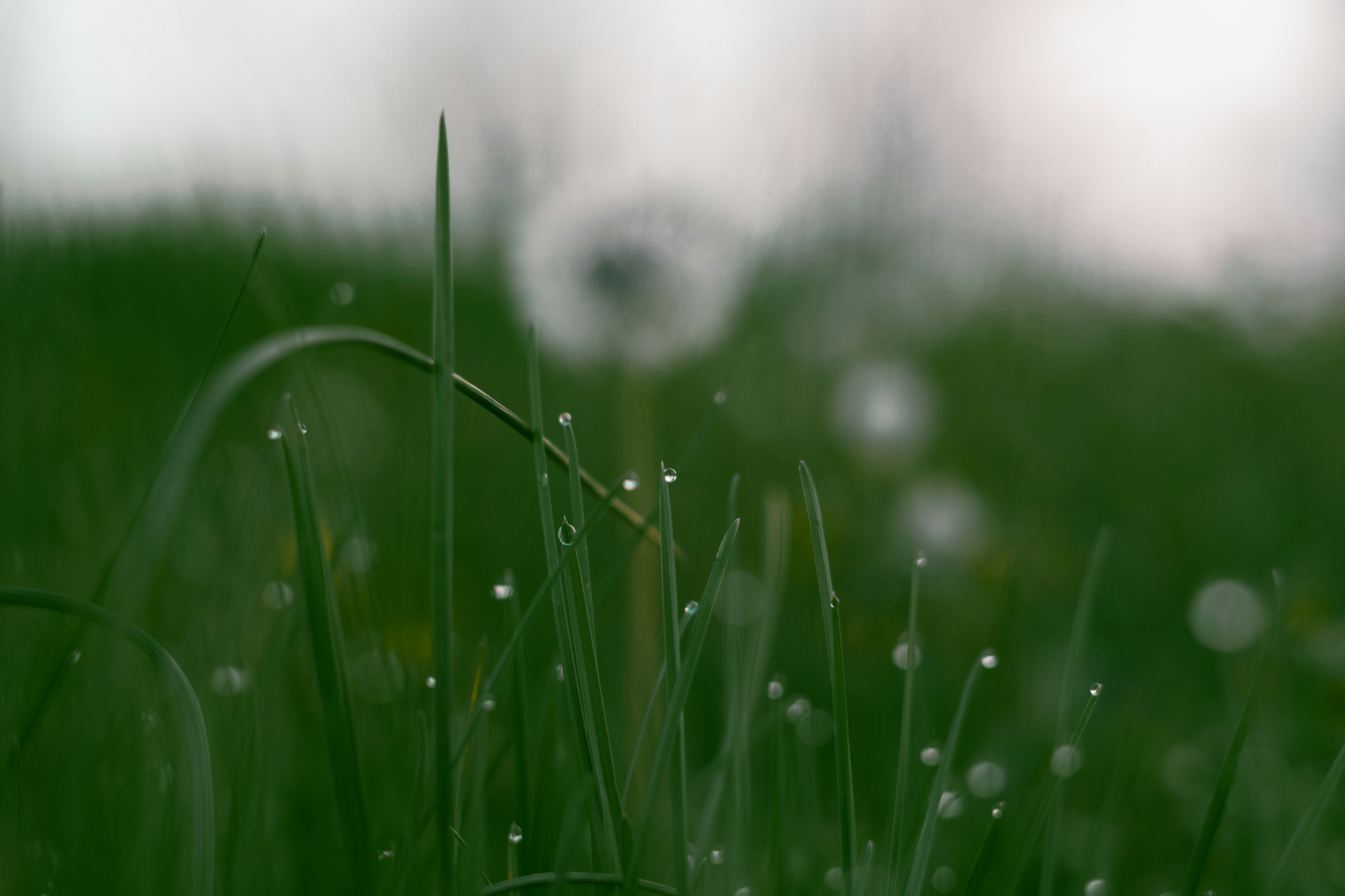 Photo by hardialsingh