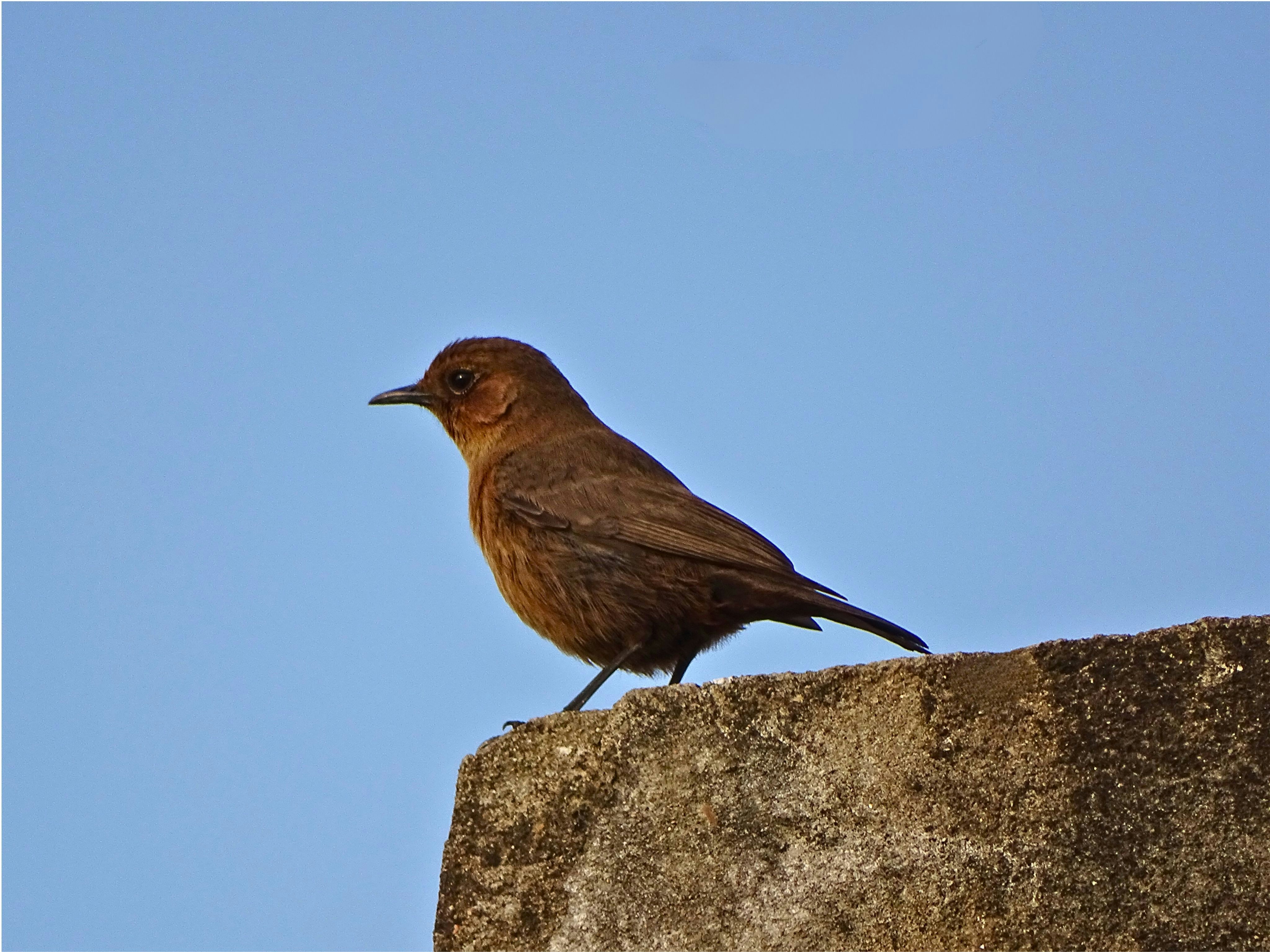 Photo by khushi_gandhi2605