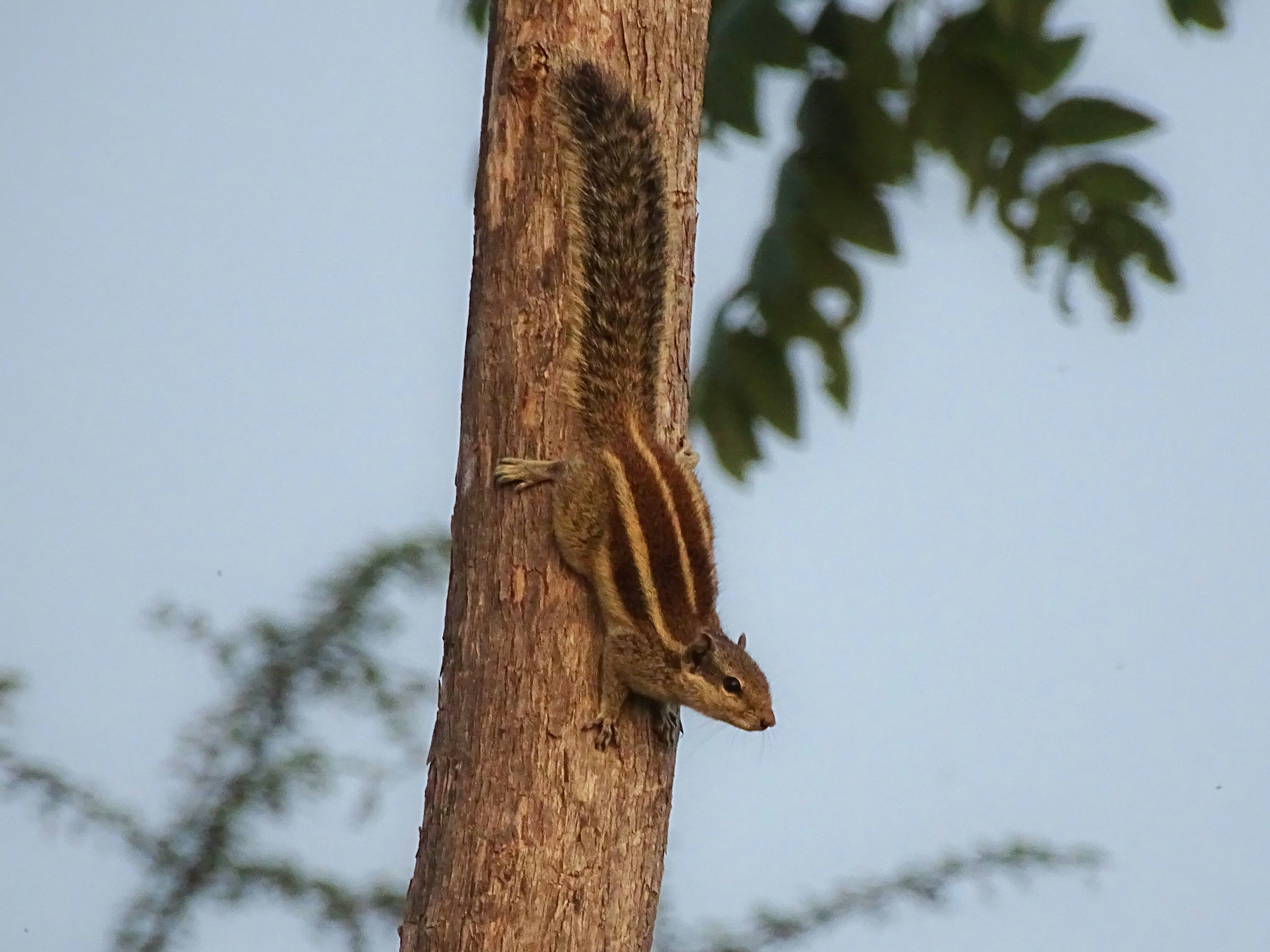 Photo by khushi_gandhi2605