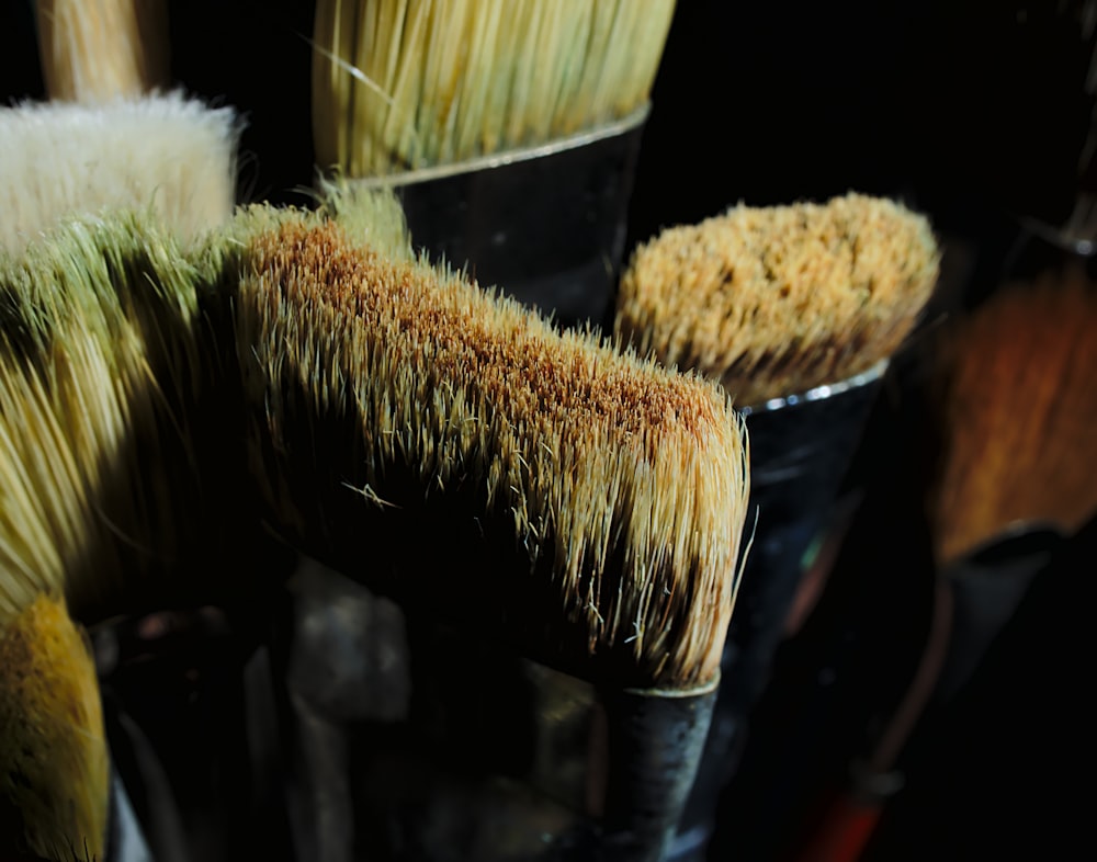 a close up of a bunch of brushes