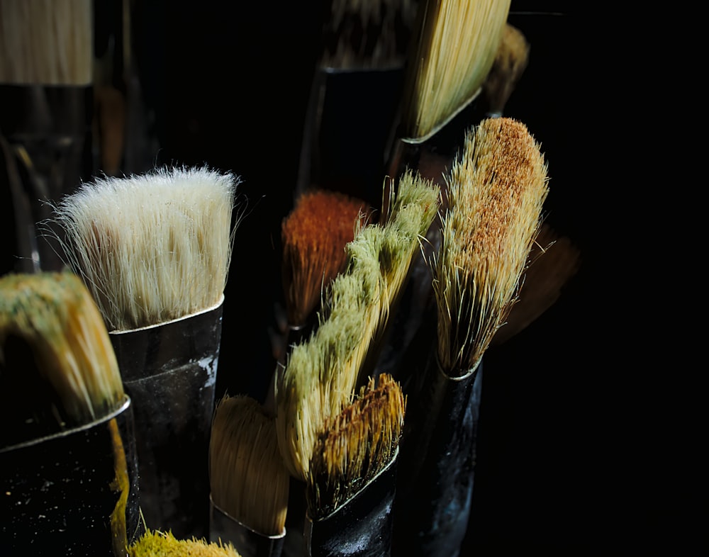 a group of brushes that are sitting in a cup