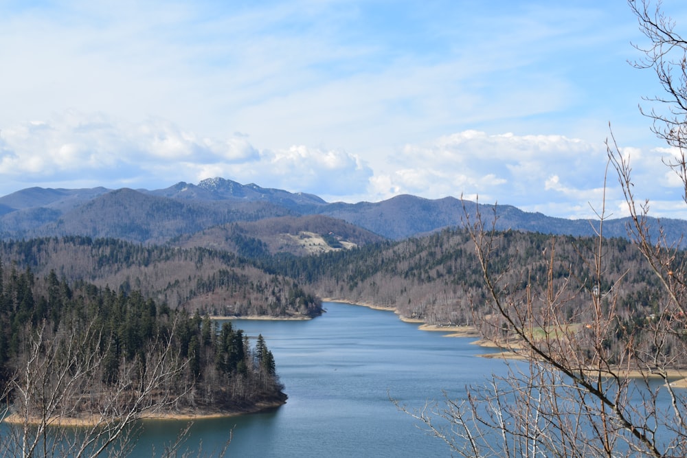 山と木々に囲まれた水域