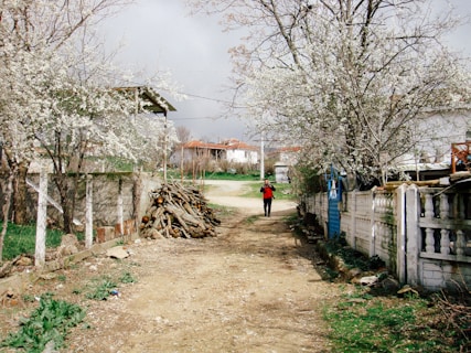 A Bulgarian village in full bloom.