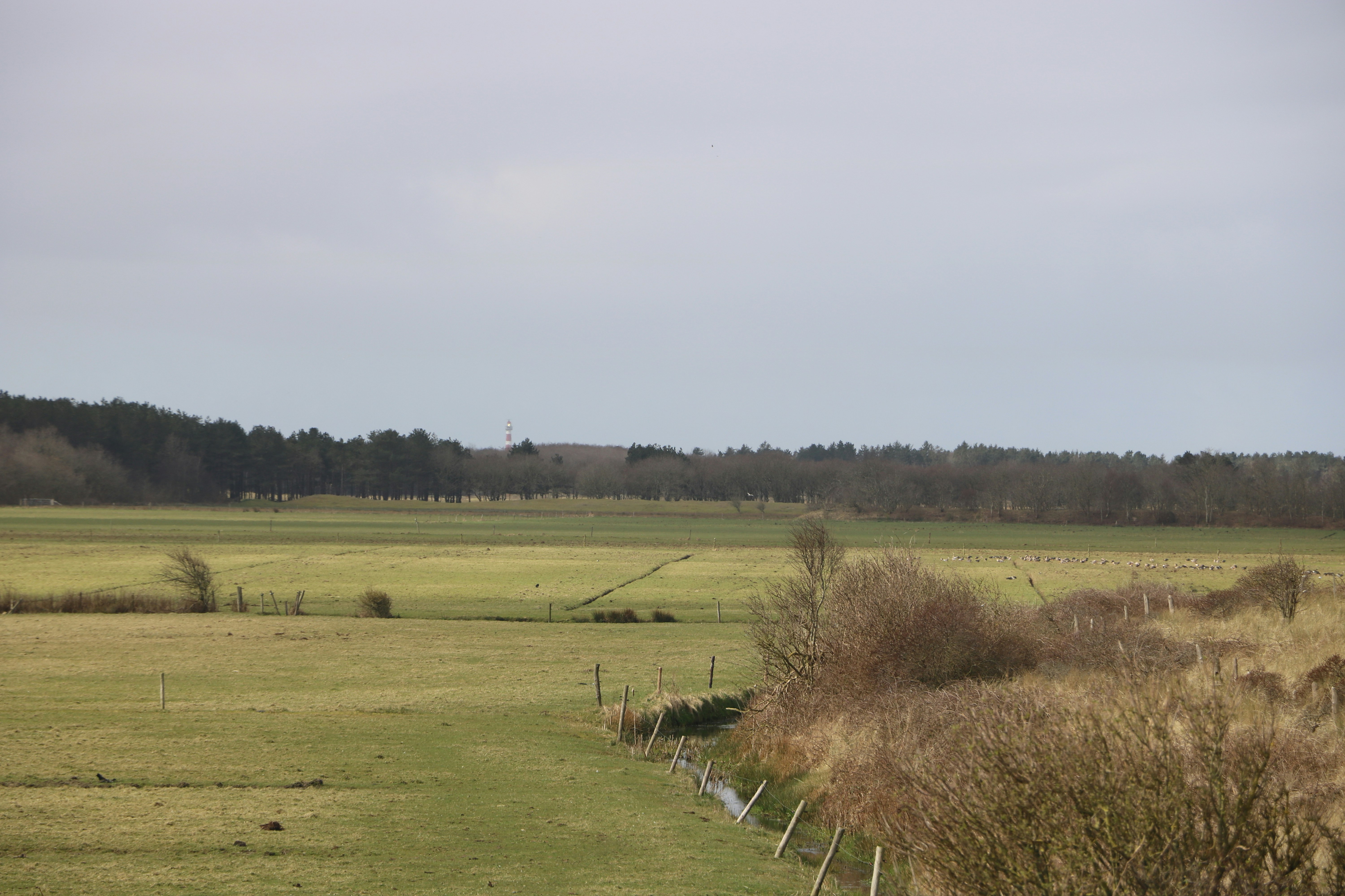 a grassy field with a fence in the foreground