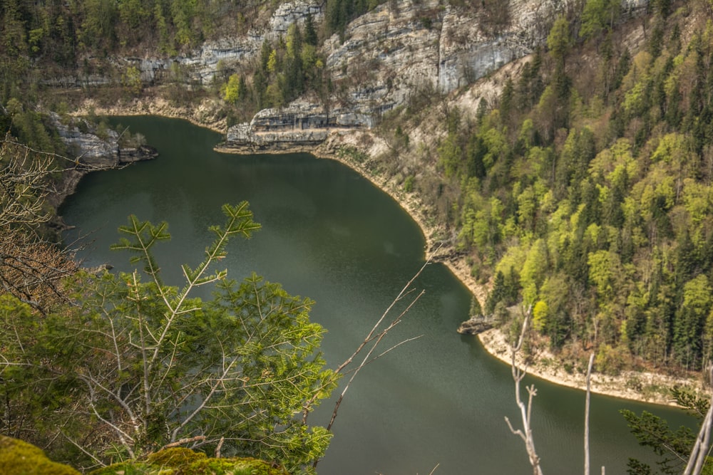 un grand plan d’eau entouré d’une forêt