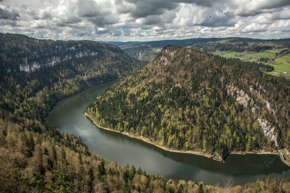 a view of a river in the middle of a forest