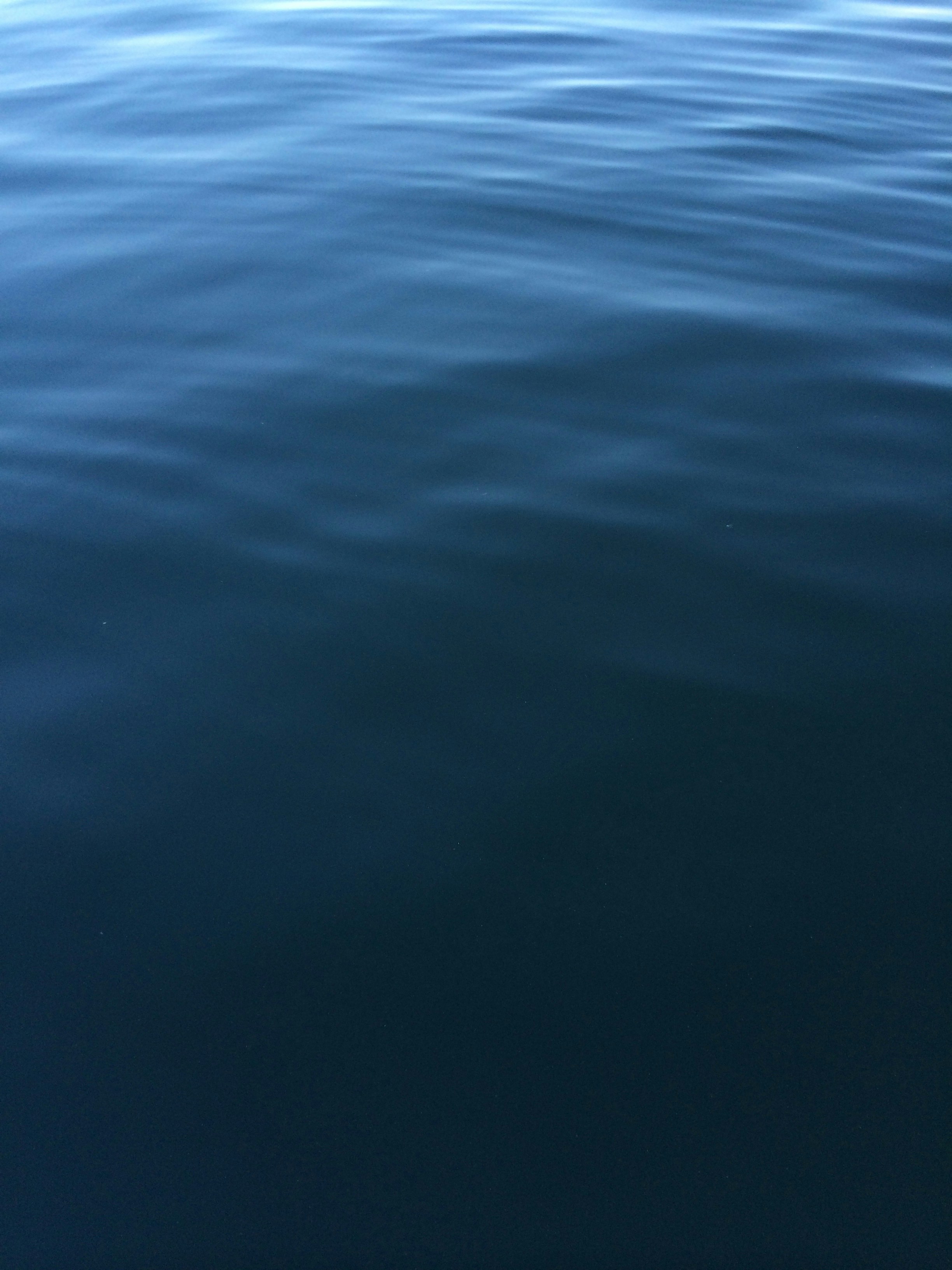 Photo by divine_rapier