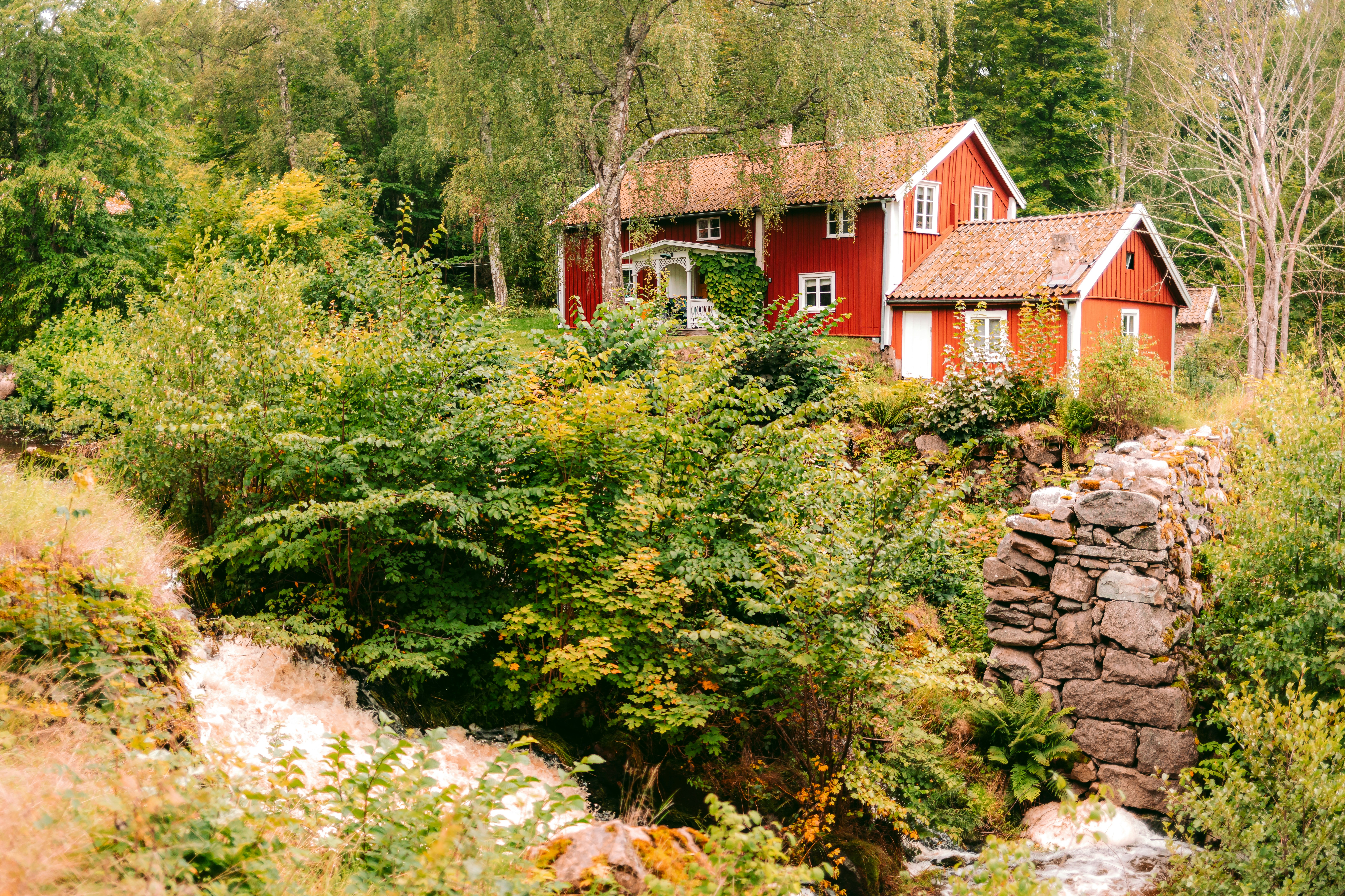 Photo by maureeneijpe