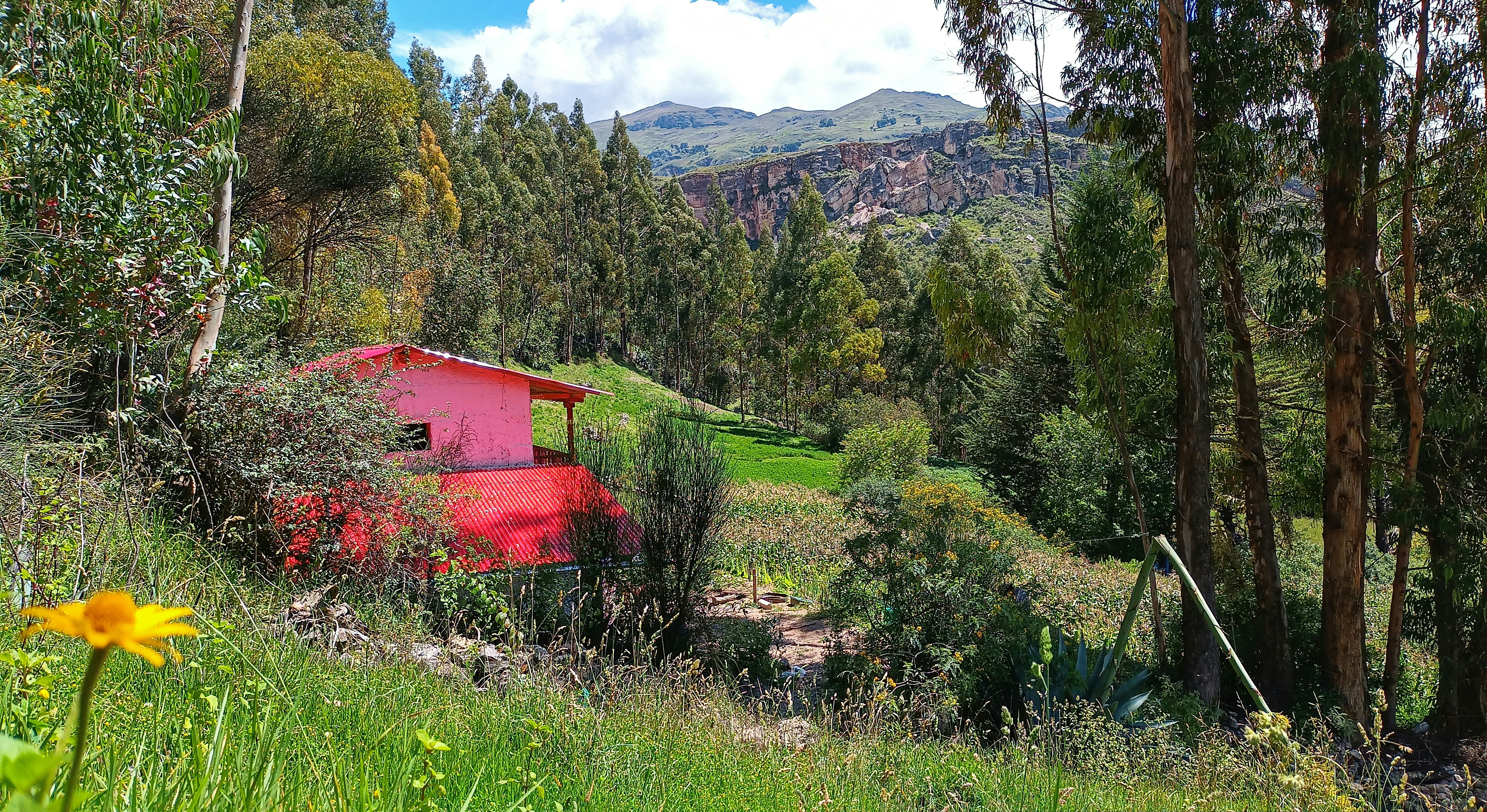 a red building in the middle of a forest