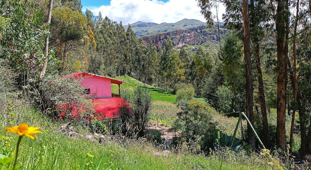 a red building in the middle of a forest