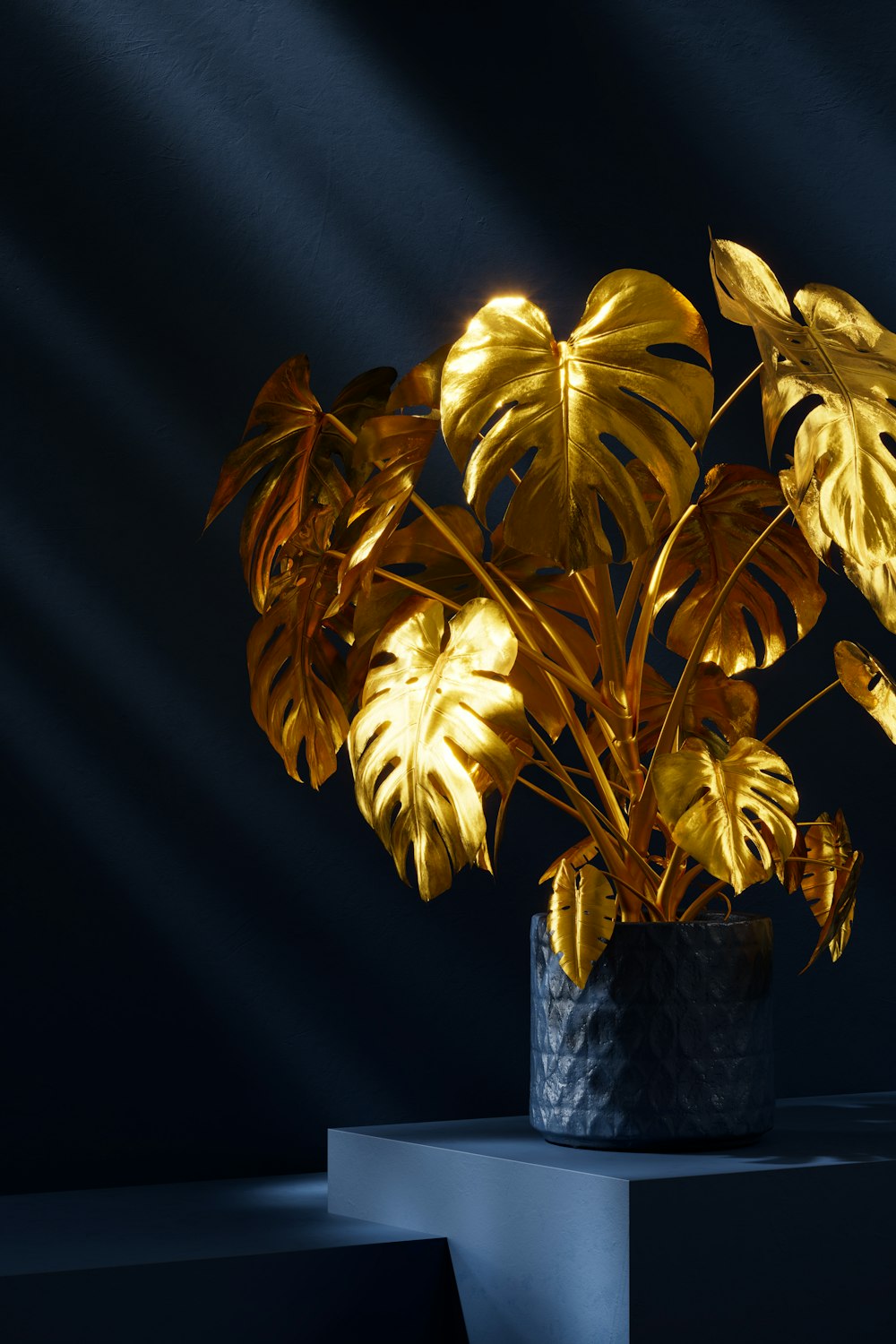 a potted plant with yellow leaves in a dark room