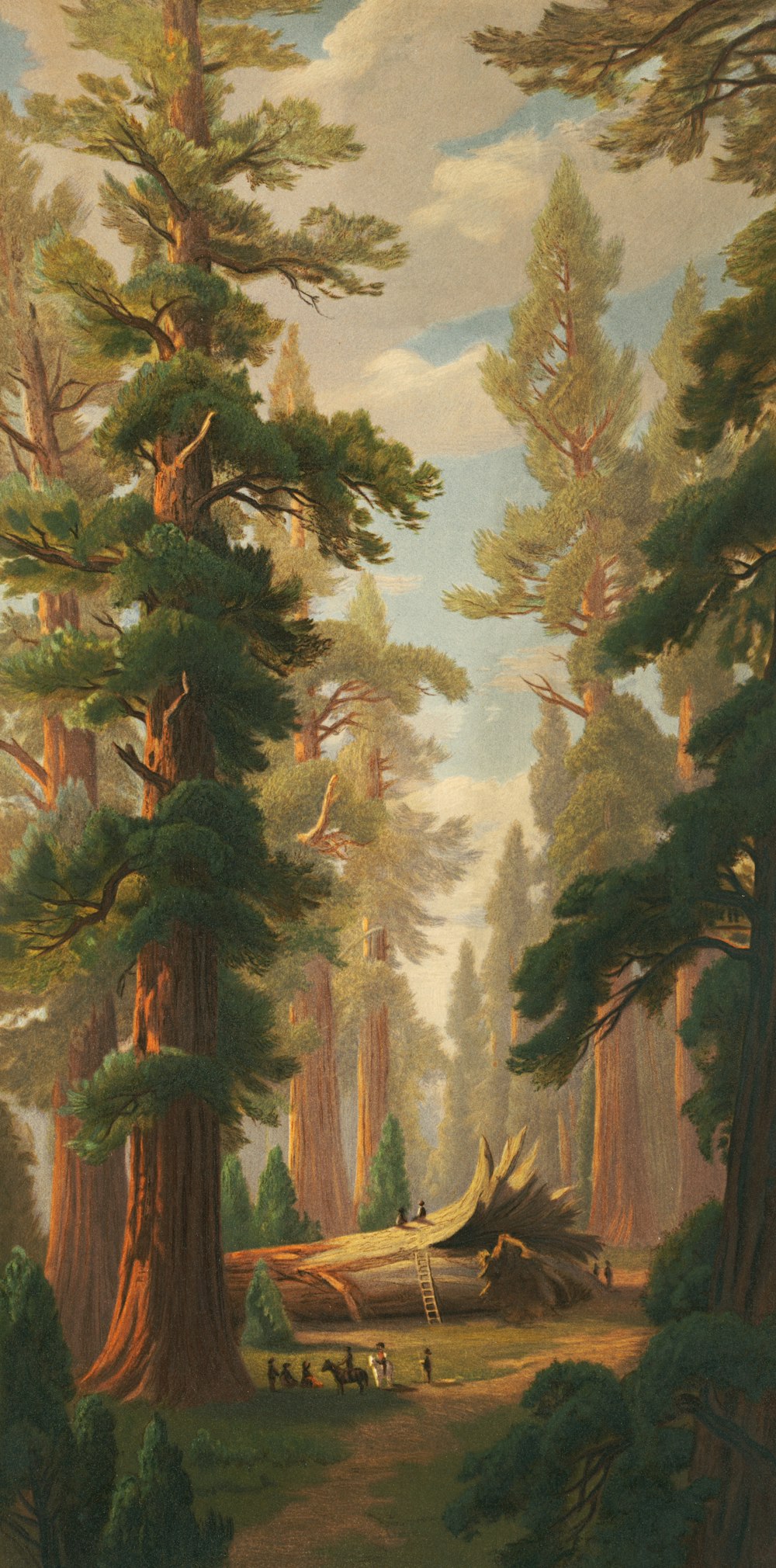 a painting of a forest filled with lots of trees