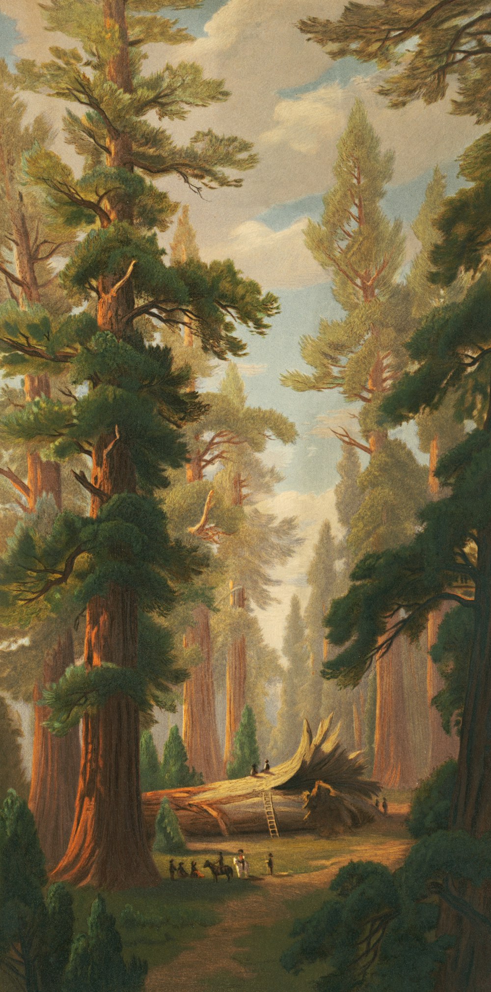 uma pintura de uma floresta cheia de árvores