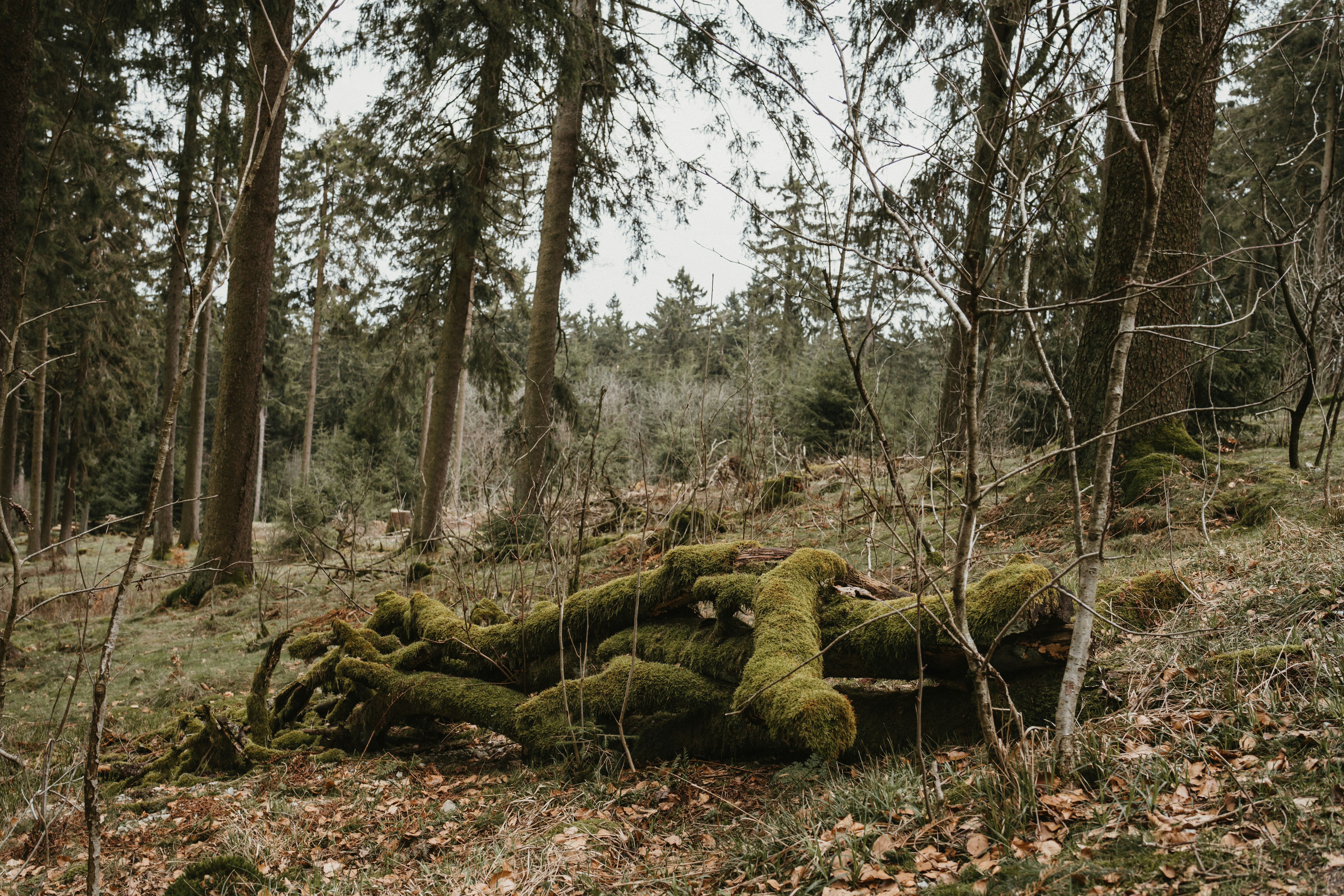 Photo by masoodaslami