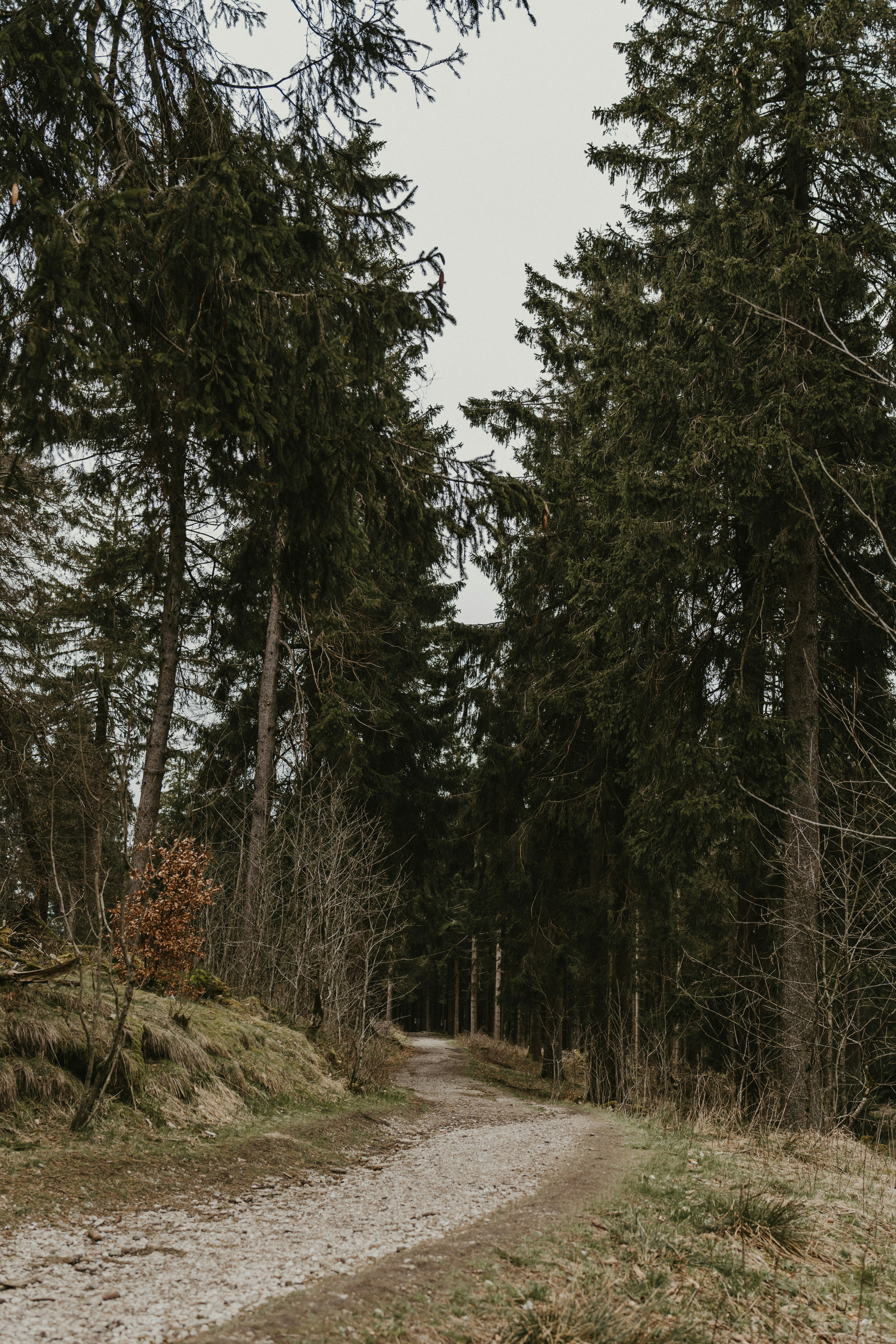 Photo by masoodaslami