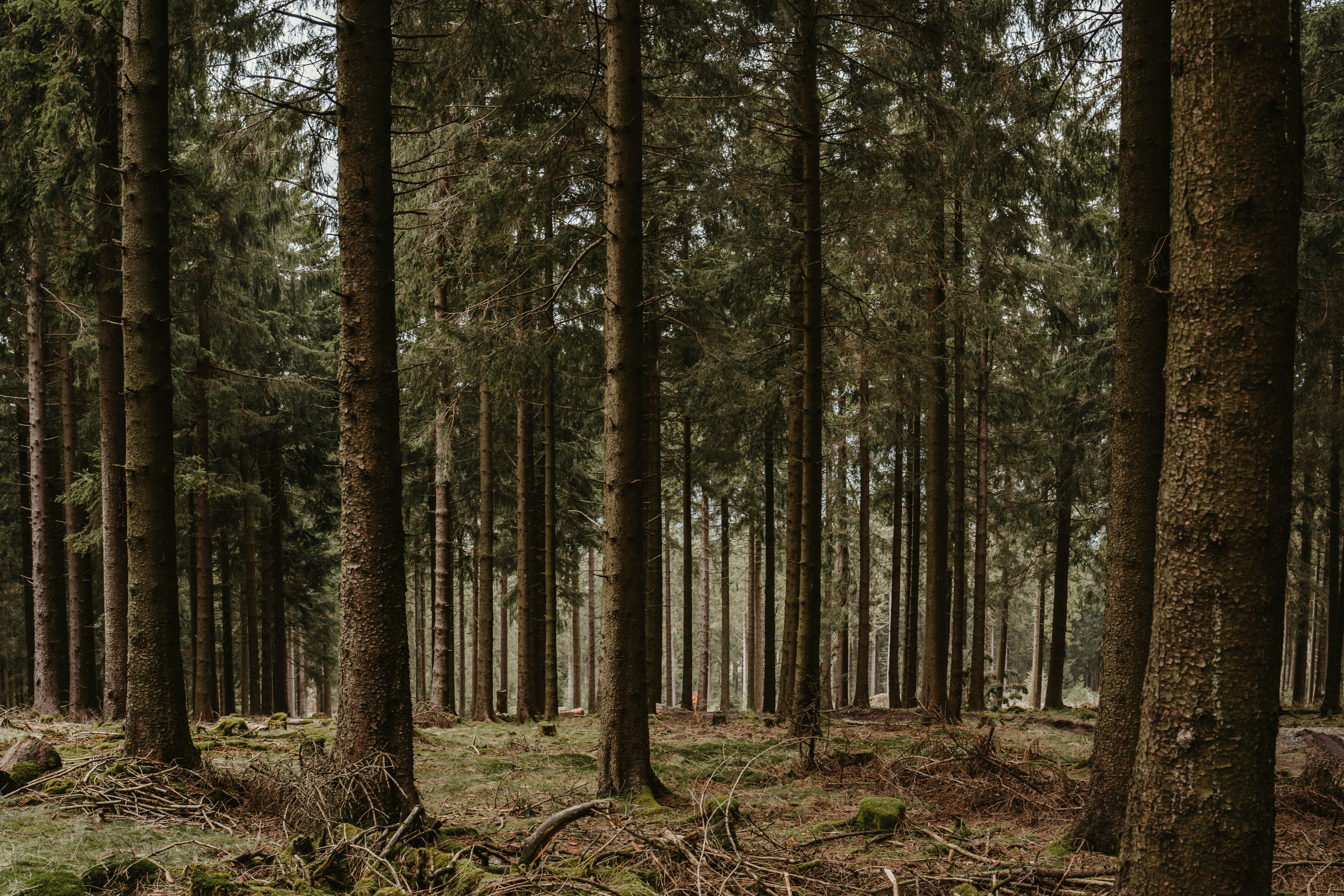 Photo by masoodaslami