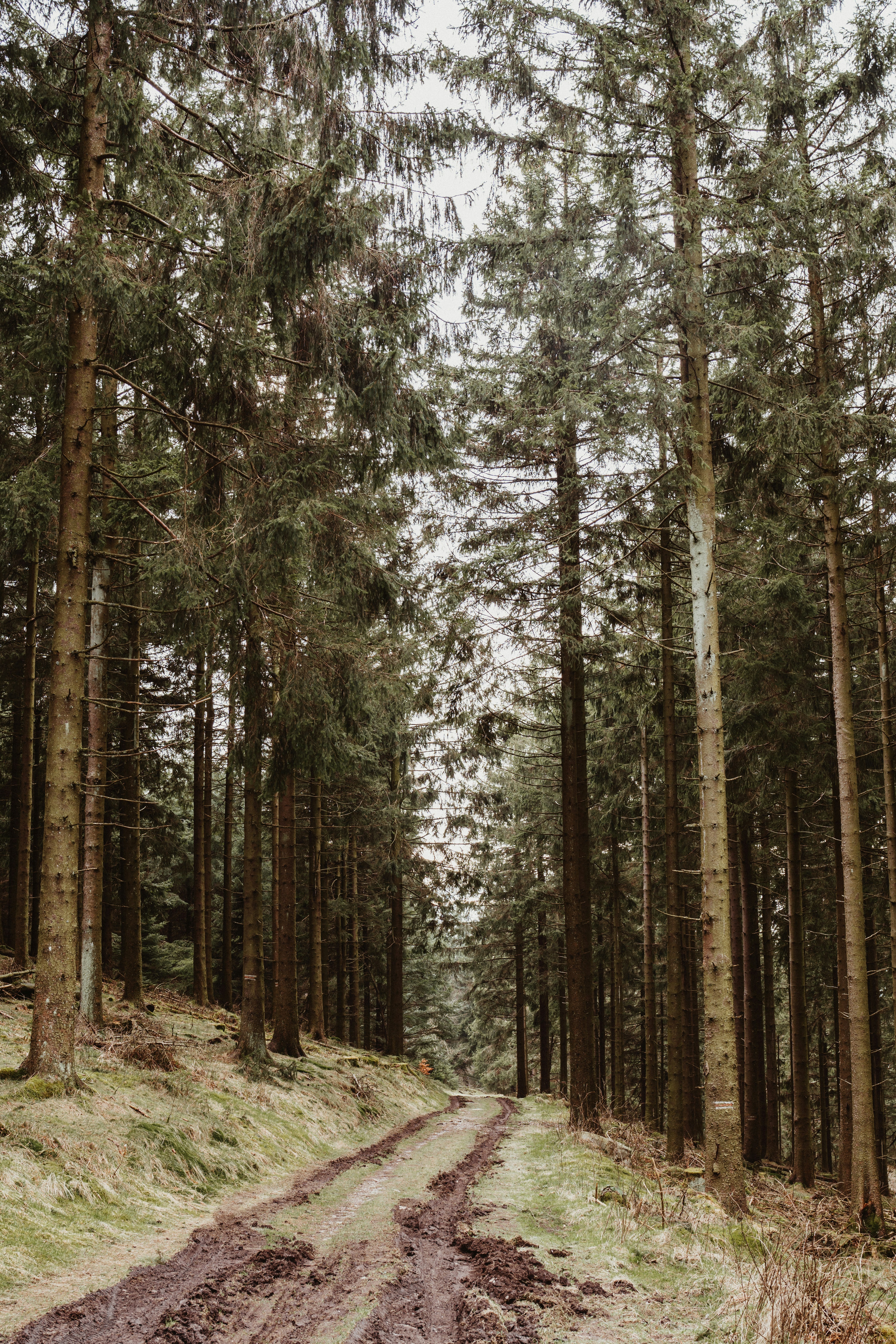 Photo by masoodaslami