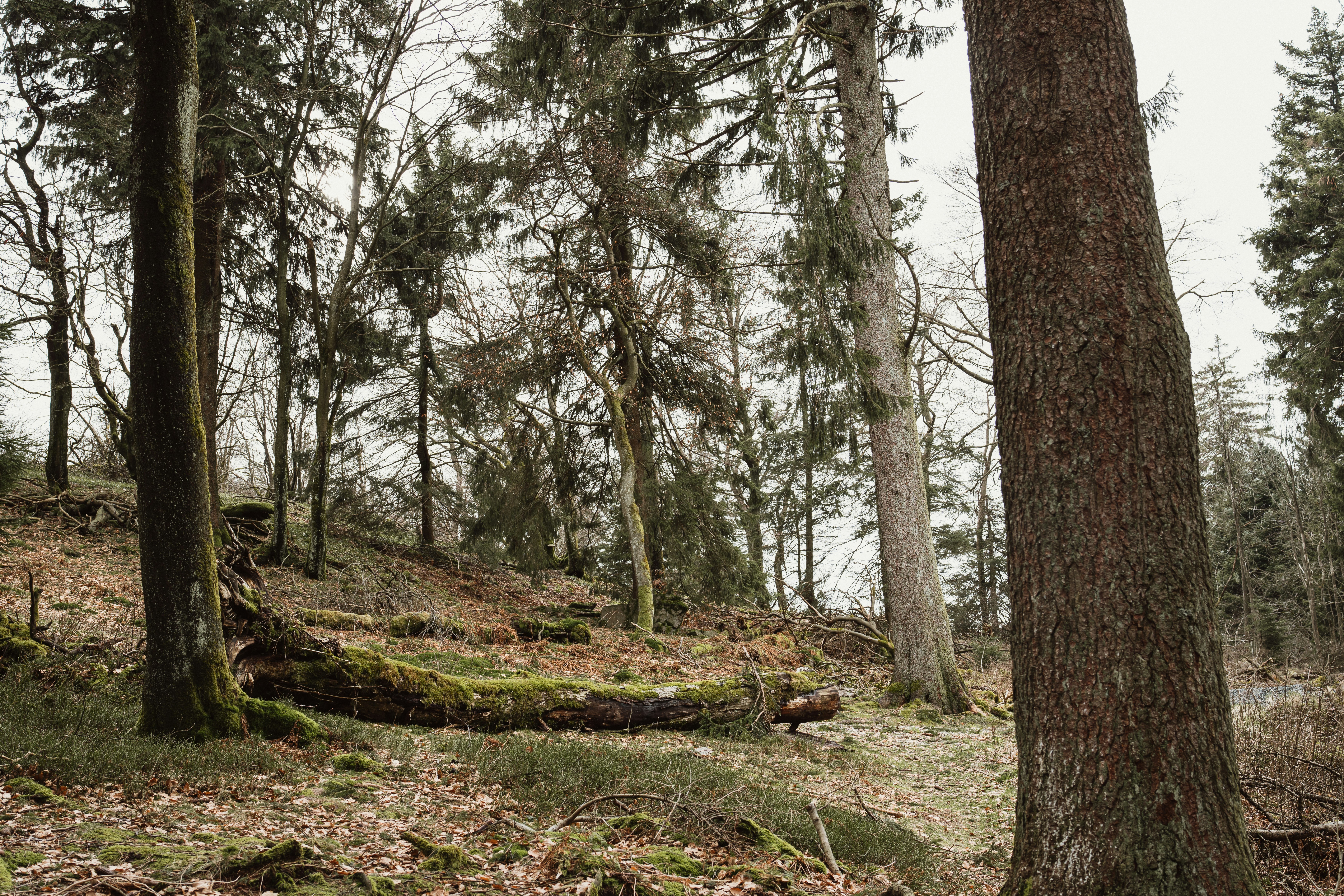 Photo by masoodaslami