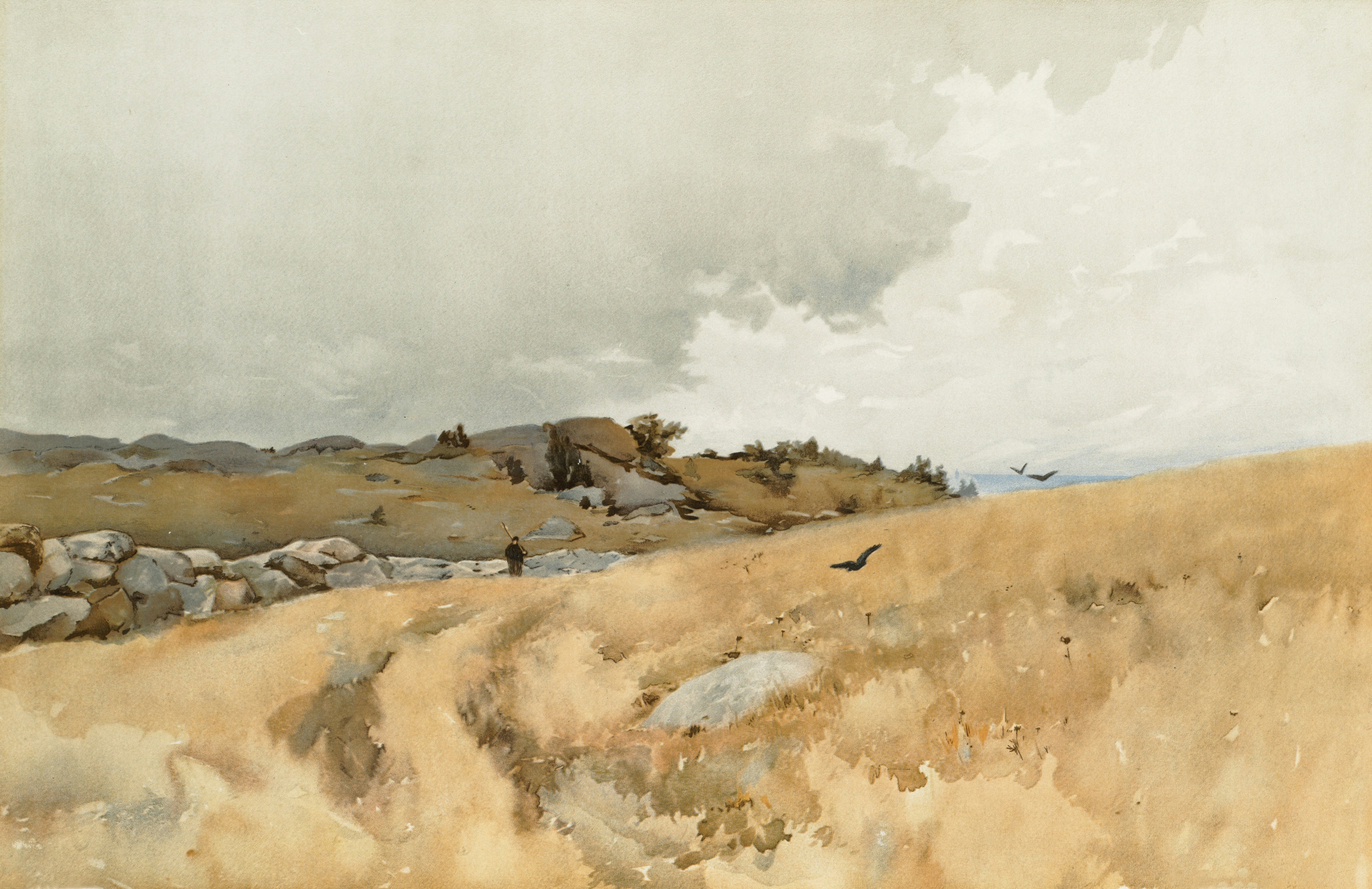 Photo by bostonpubliclibrary