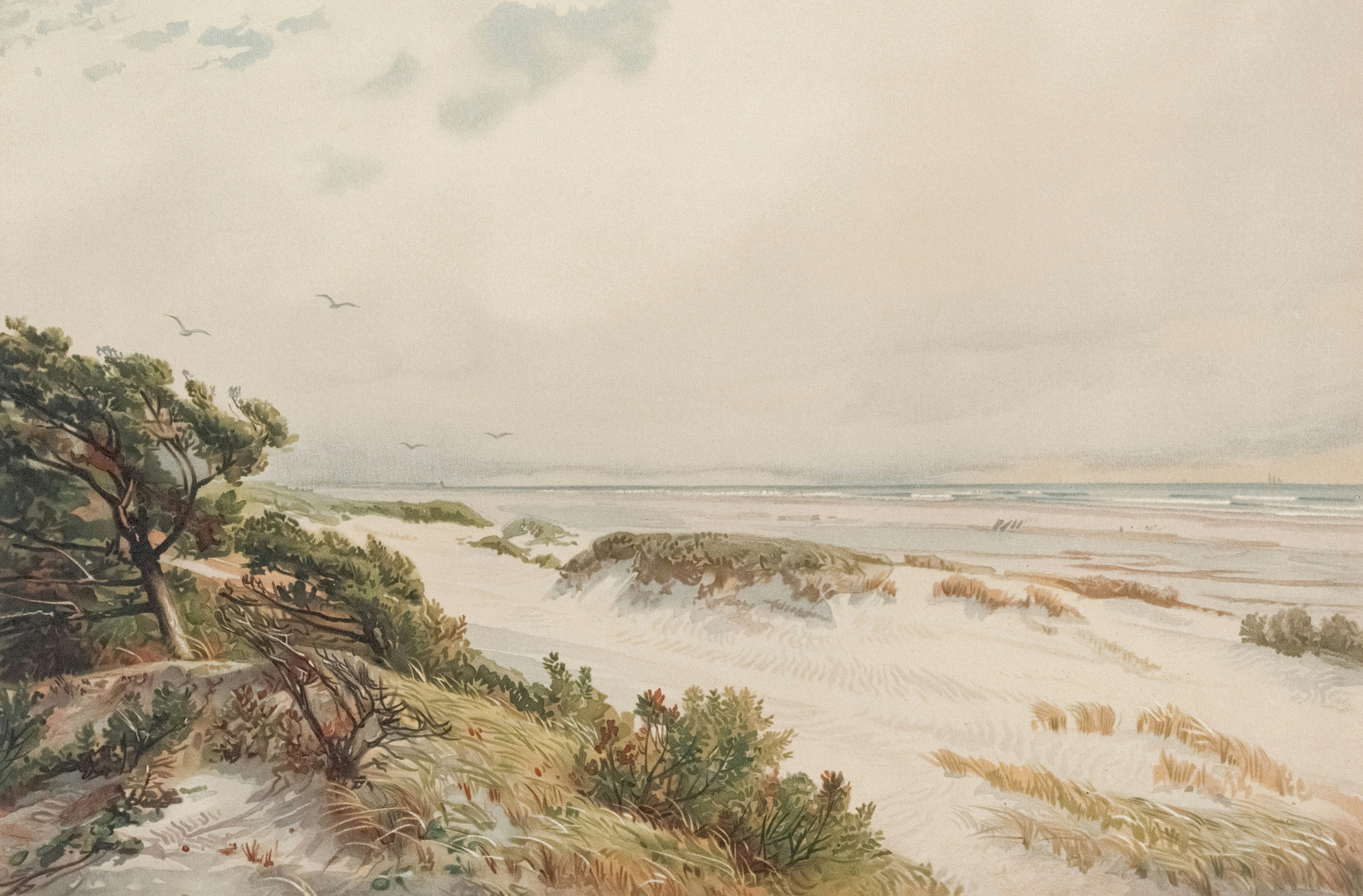 Photo by bostonpubliclibrary