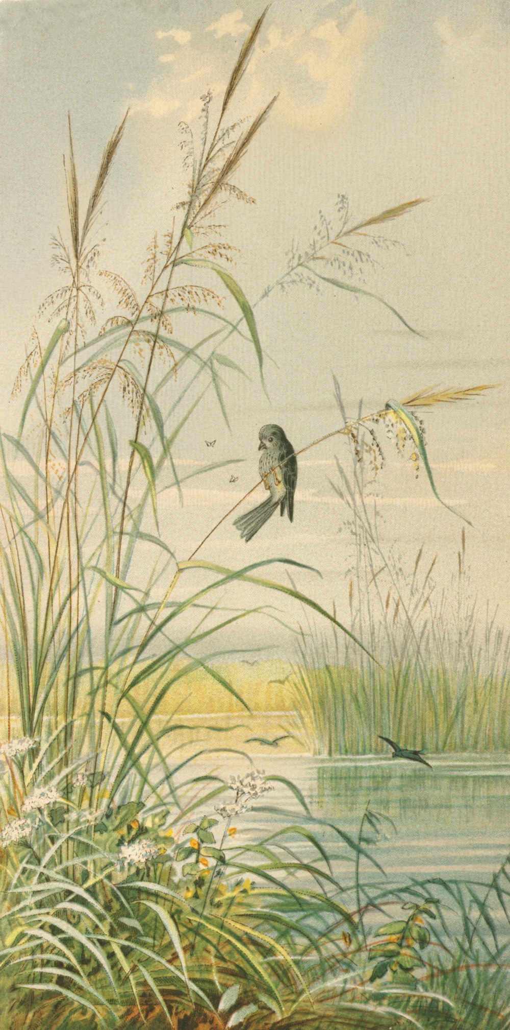 a painting of a bird flying over a body of water