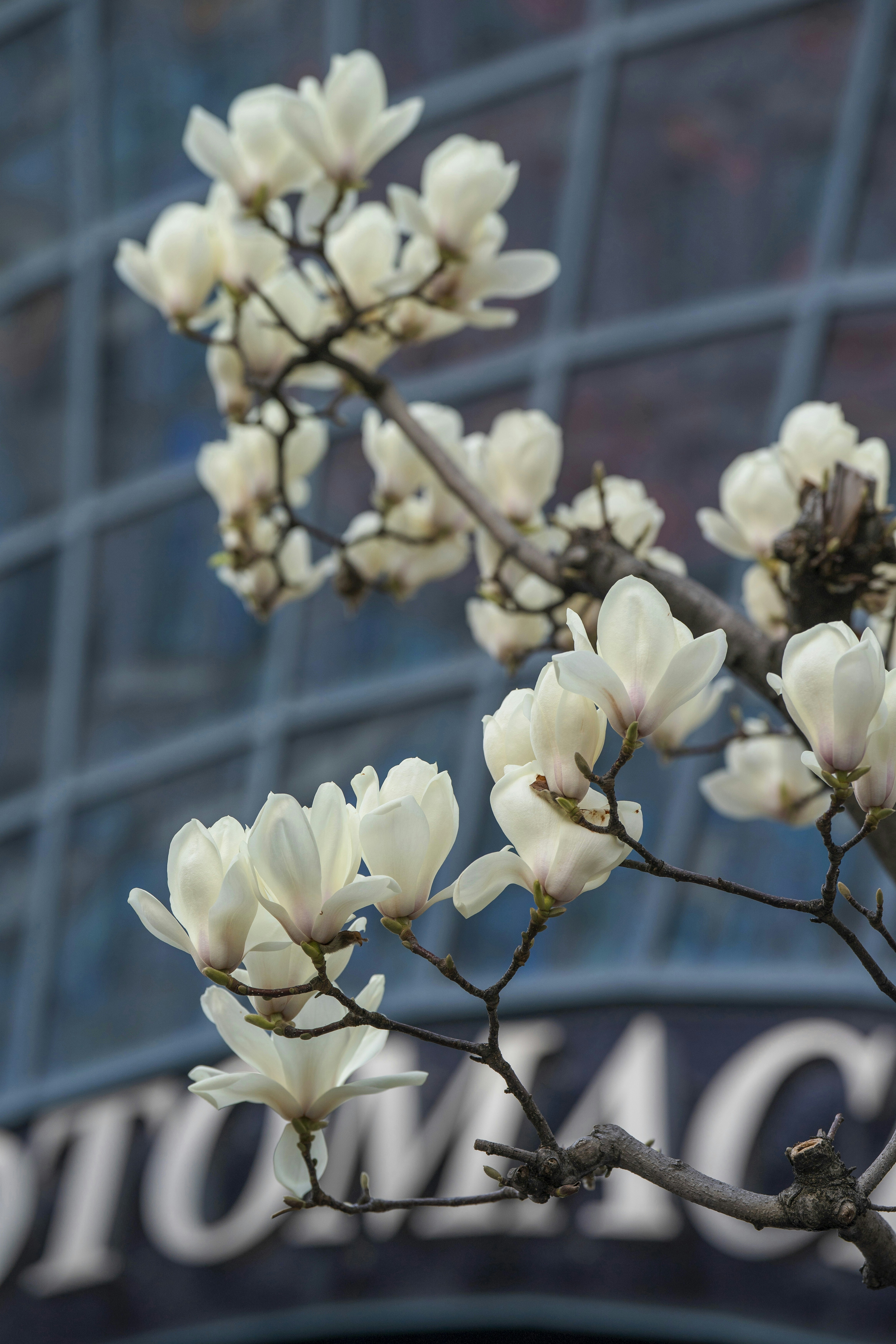 Photo by lyricalcode_kobe