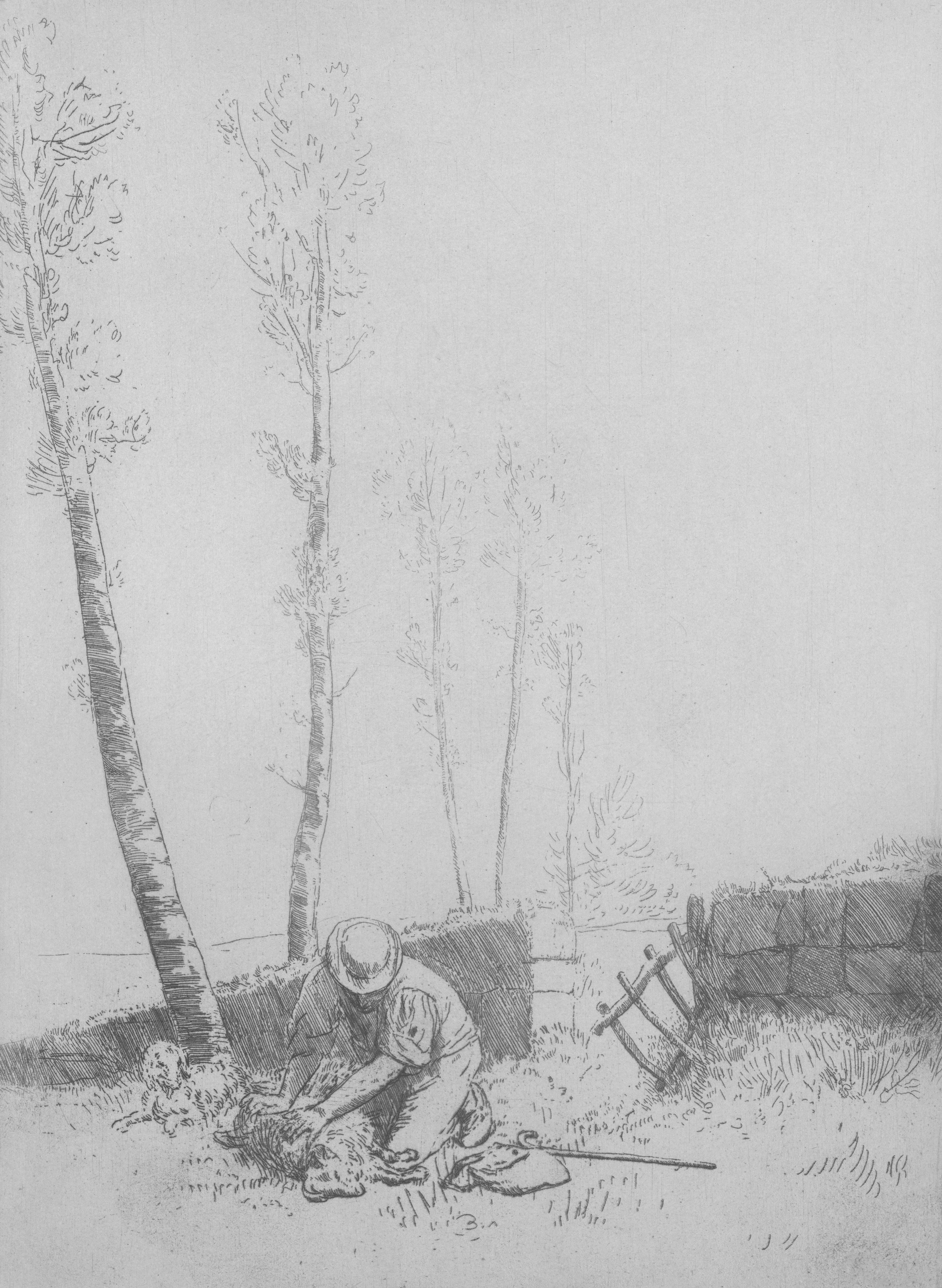 Photo by bostonpubliclibrary