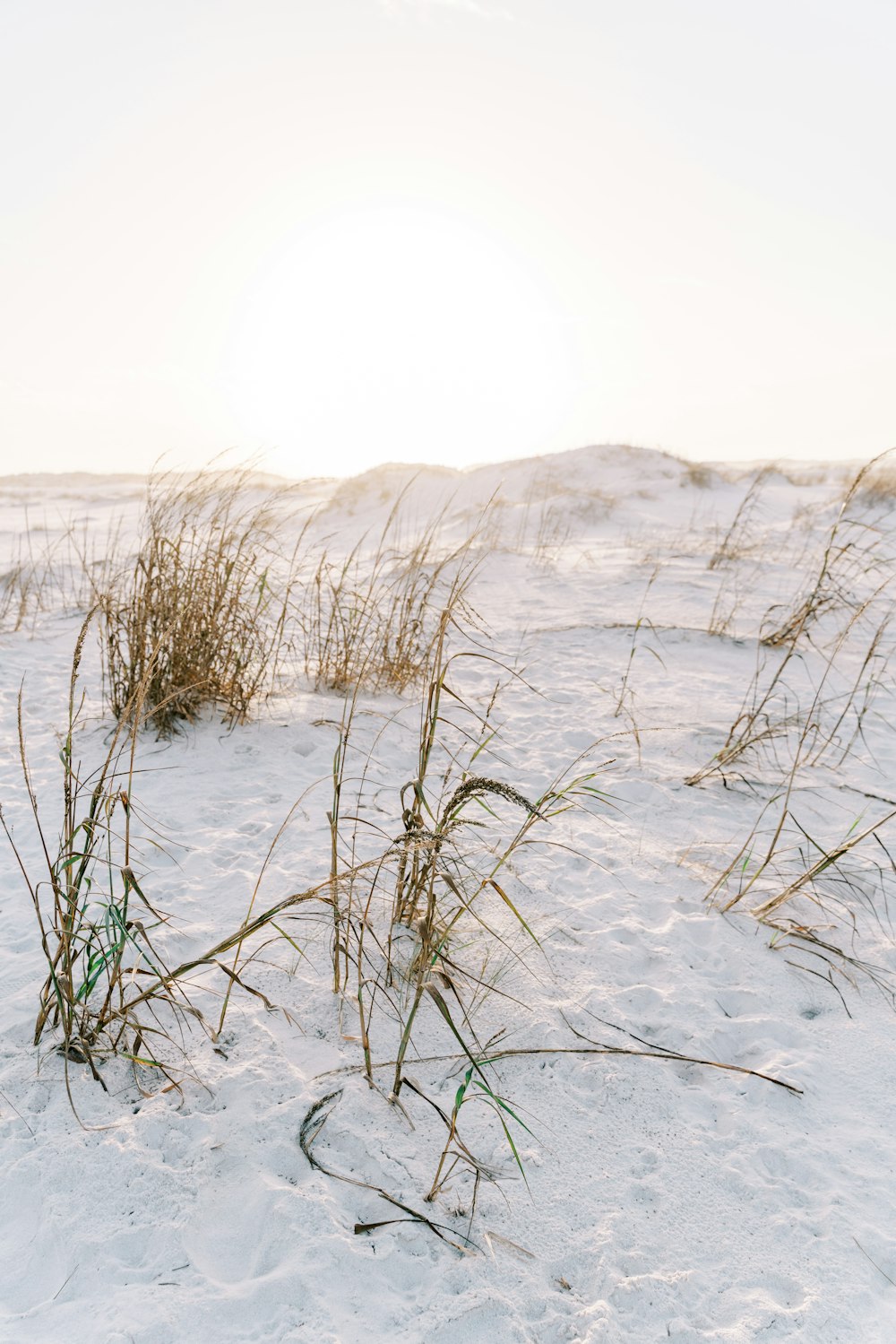 a fire hydrant sitting in the middle of a snow covered field