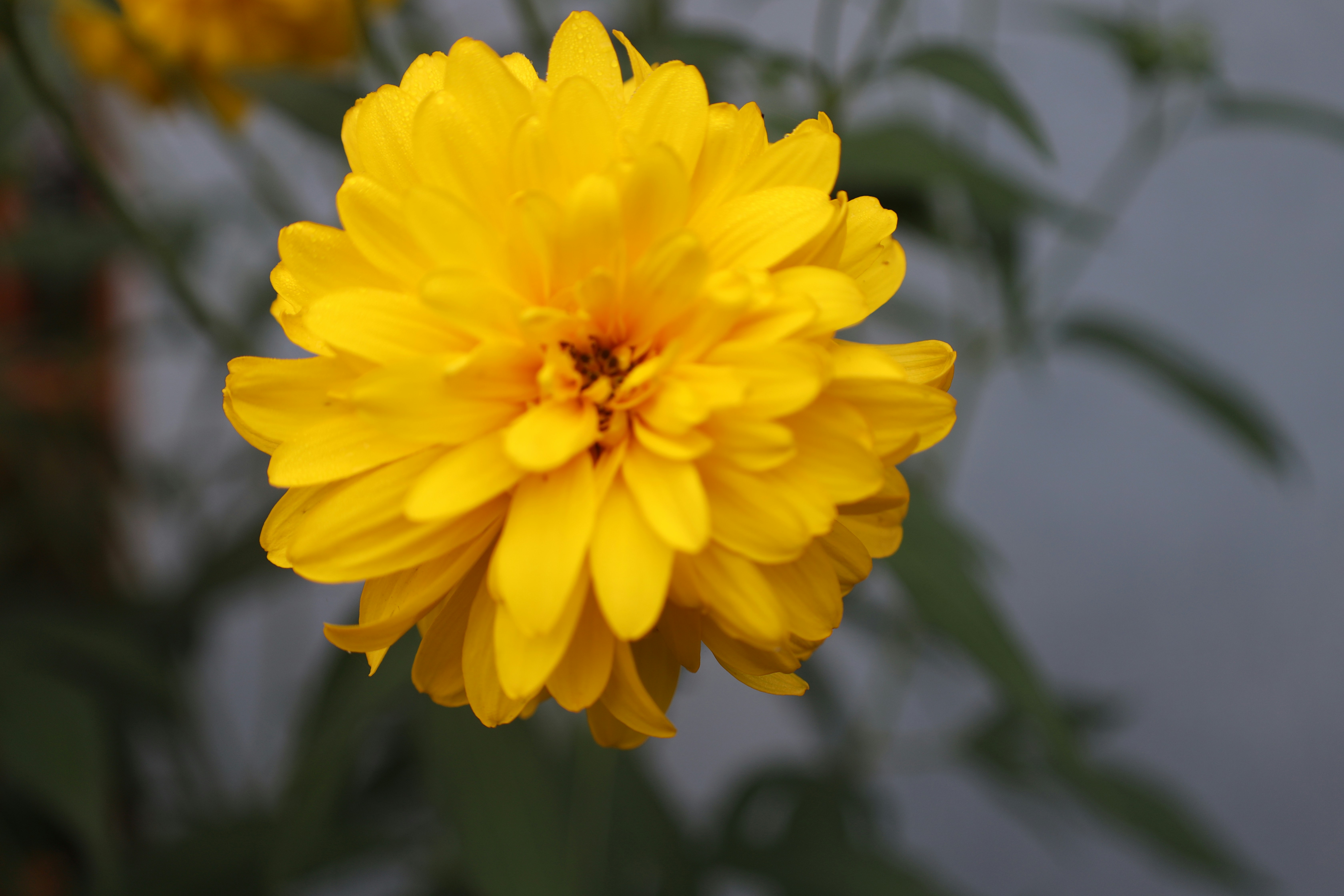 Photo by jaimegusmao