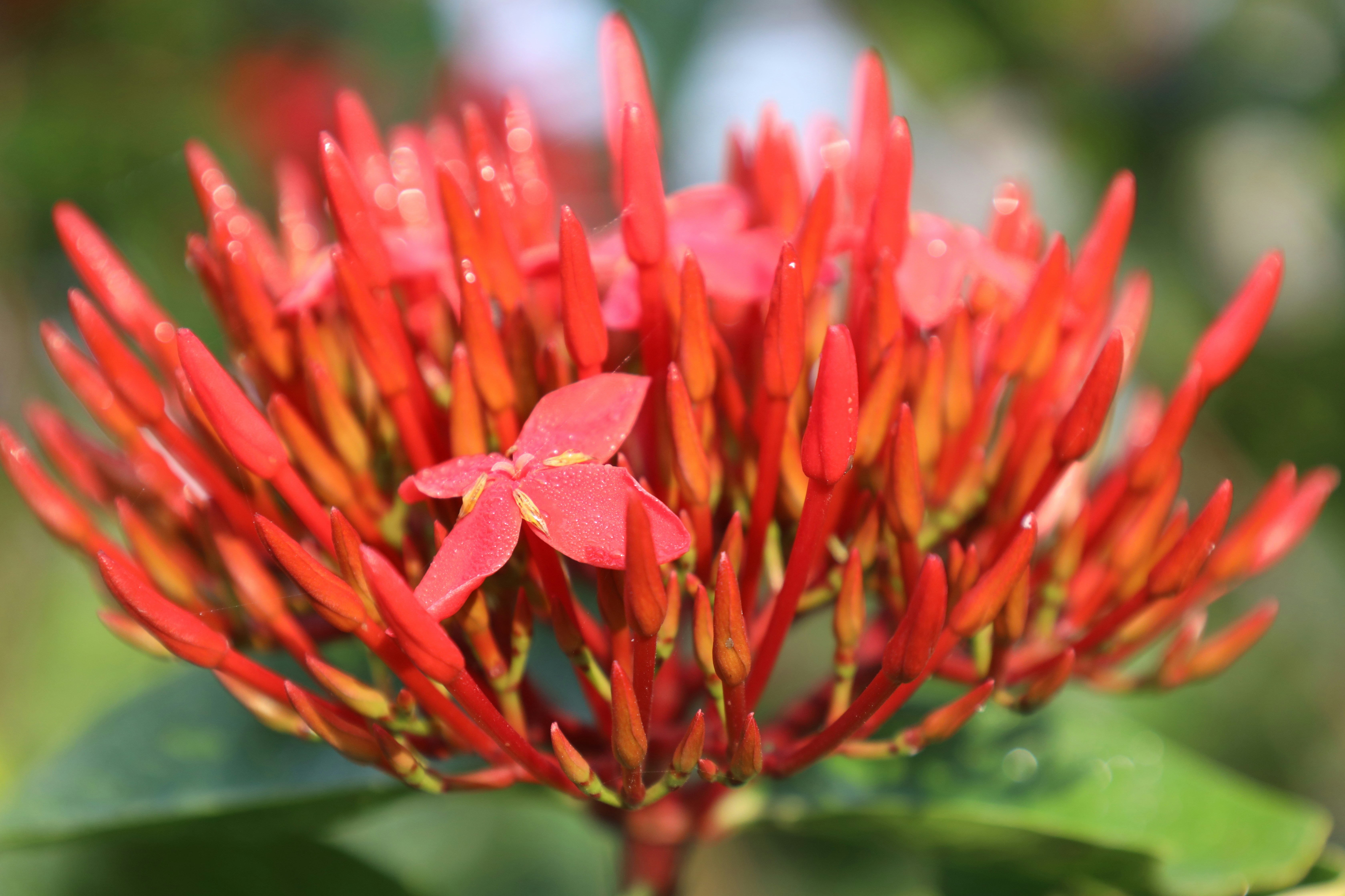 Photo by jaimegusmao