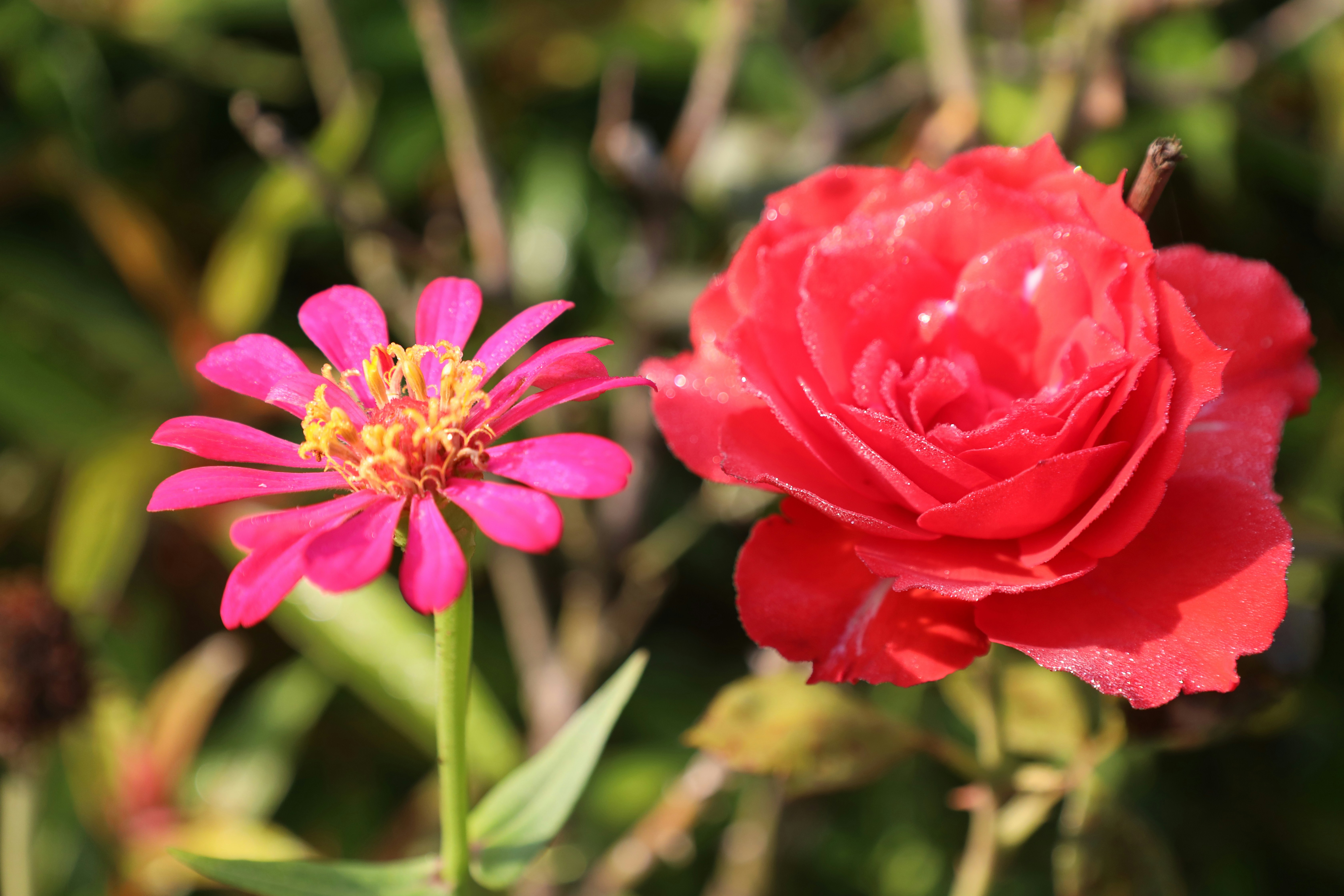 Photo by jaimegusmao