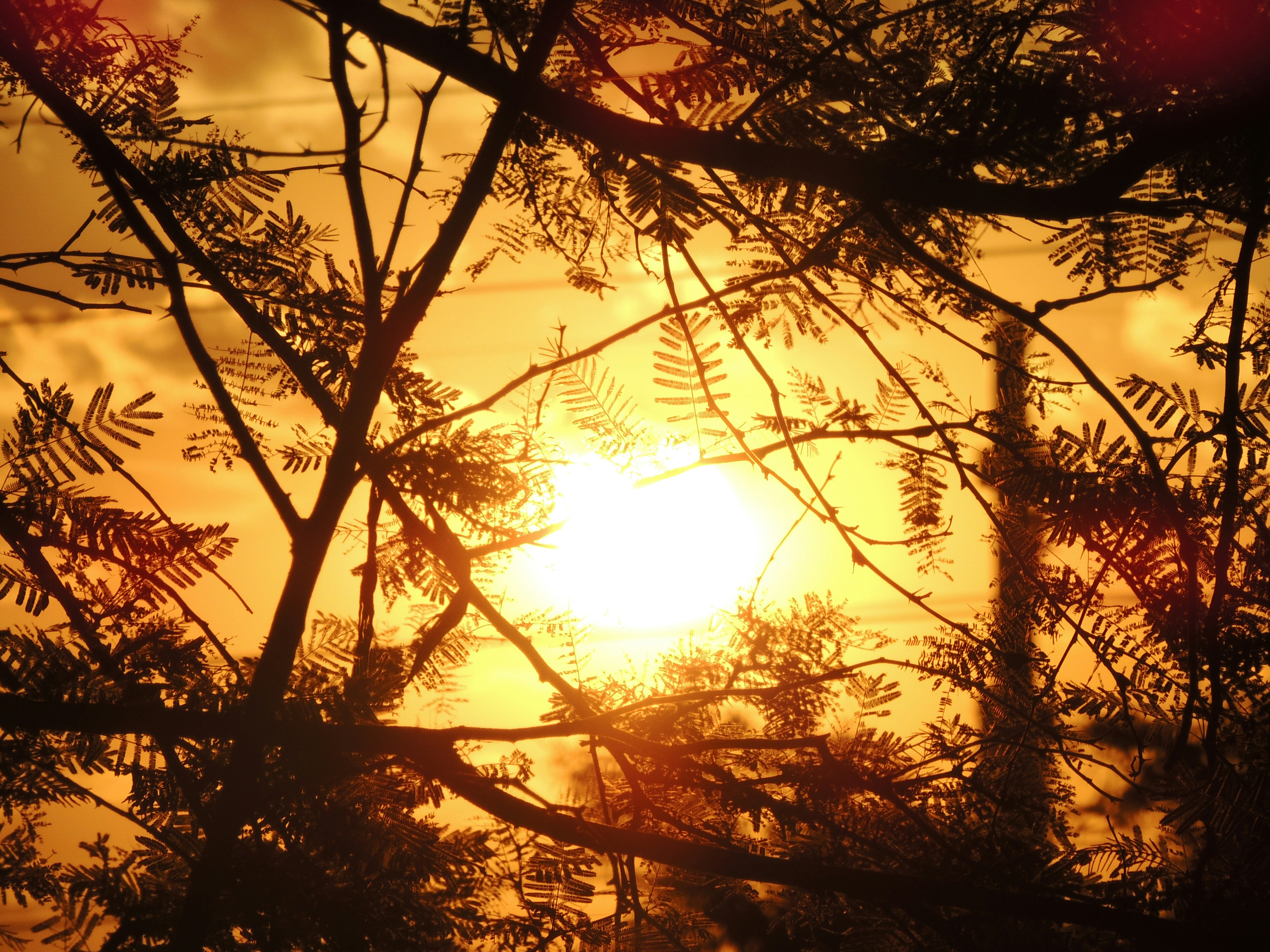 Photo by sunshinestudio82